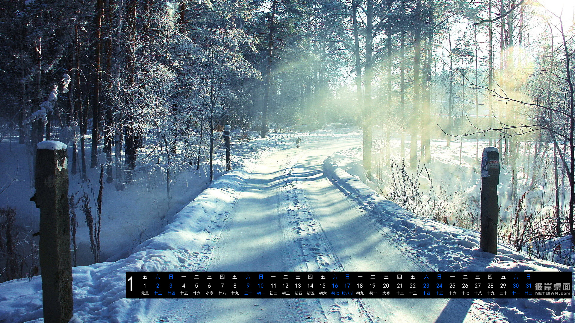 2016年1月风景日历桌面高清壁纸 白雪覆盖的林间小路