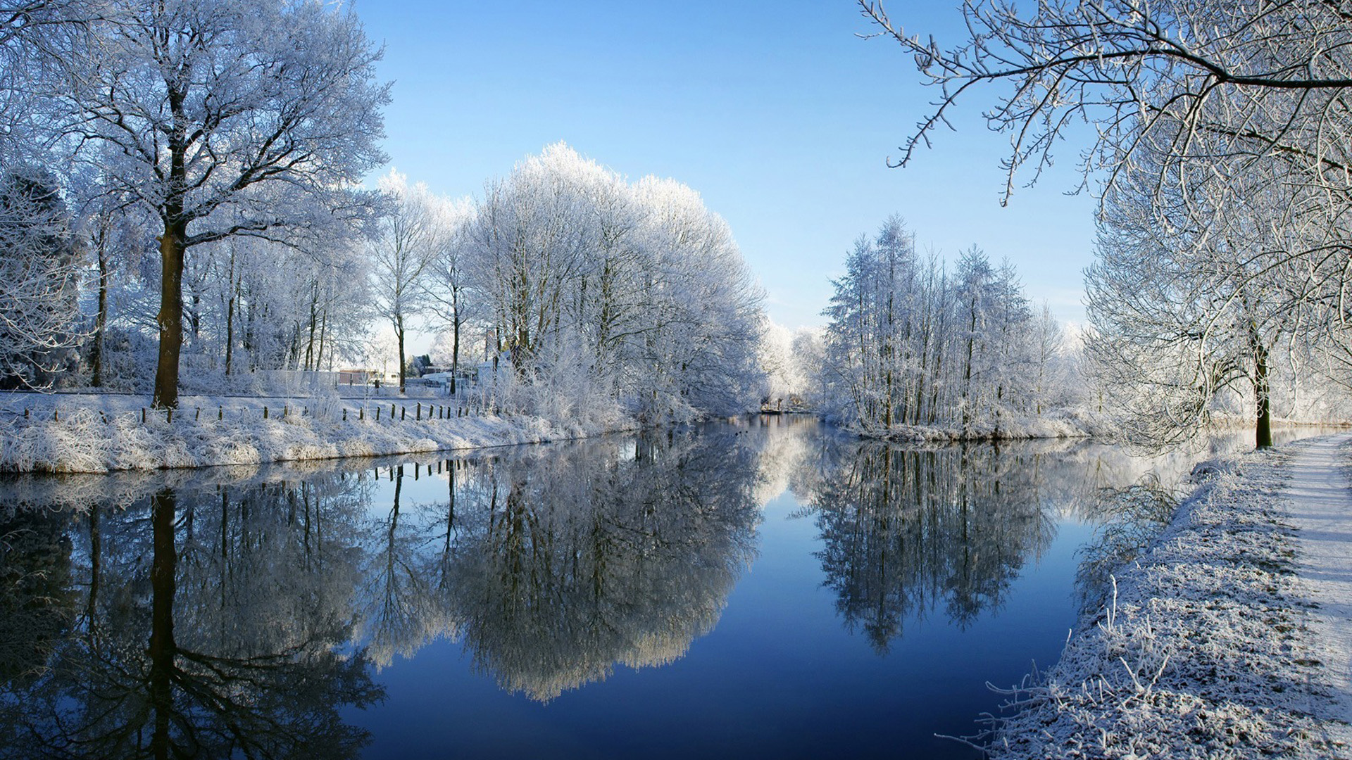 冬天,河,树,霜,雪,美景如画,冬天风景高清壁纸