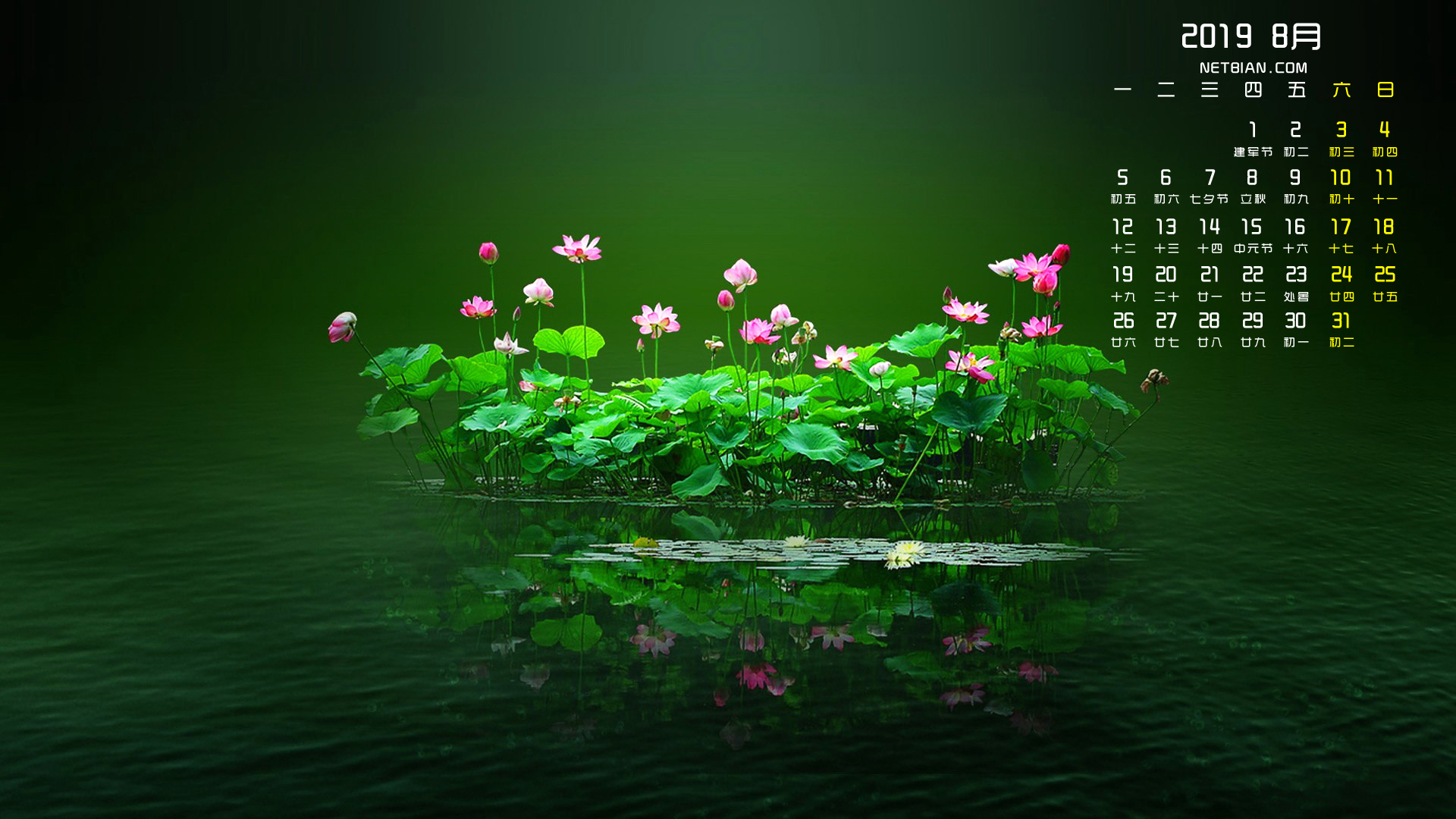 荷花2019年8月日历桌面高清壁纸
