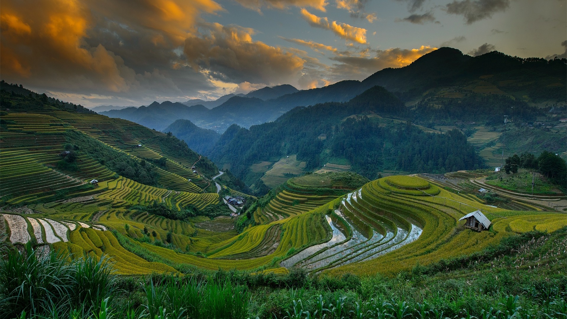 家乡永远是最美丽的风景，山区，山丘，梯田，水稻田，种植园，桌面高清壁纸