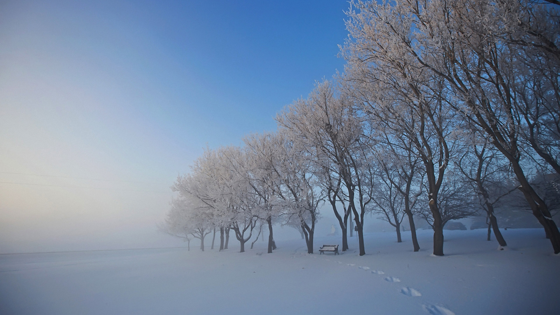 雪中的树木,长椅,雾桌面高清壁纸