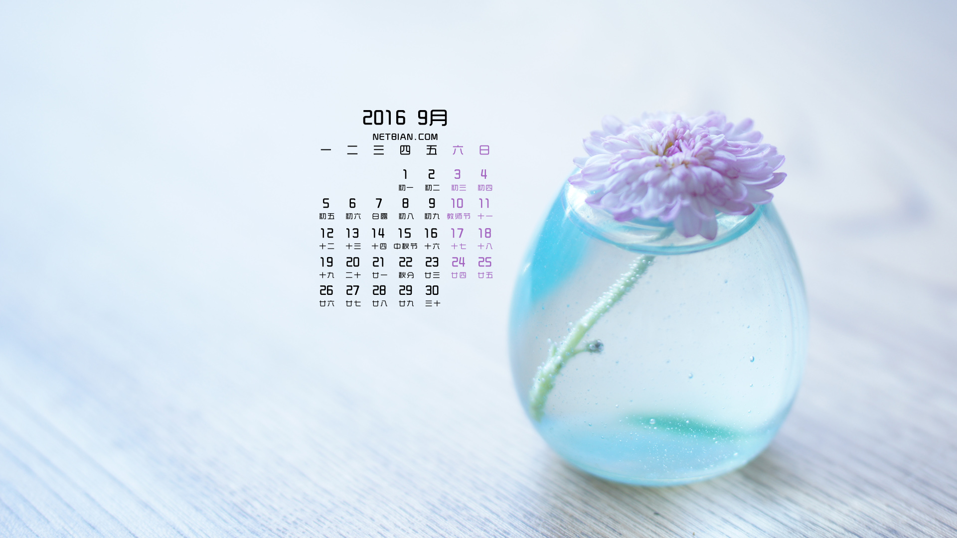 花瓶鲜花2016年9月日历桌面高清壁纸