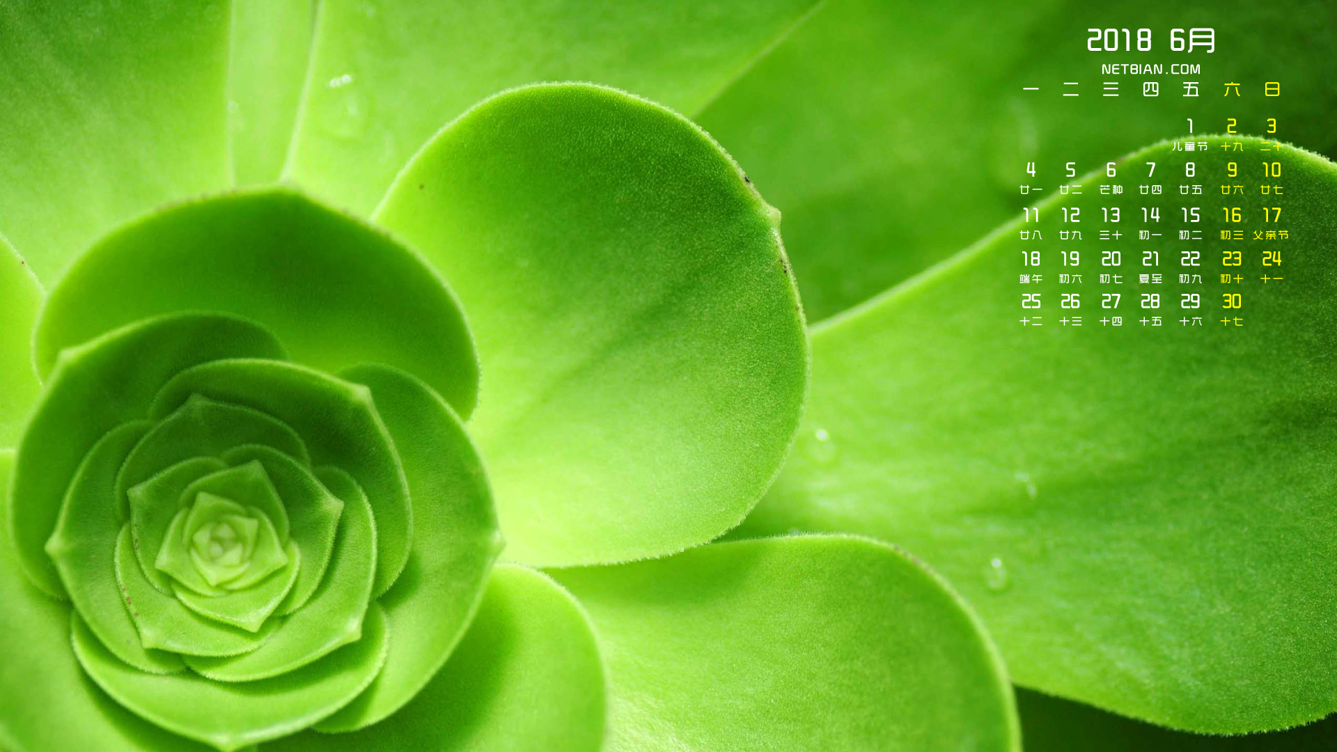 绿色植物2018年6月日历桌面高清壁纸护眼