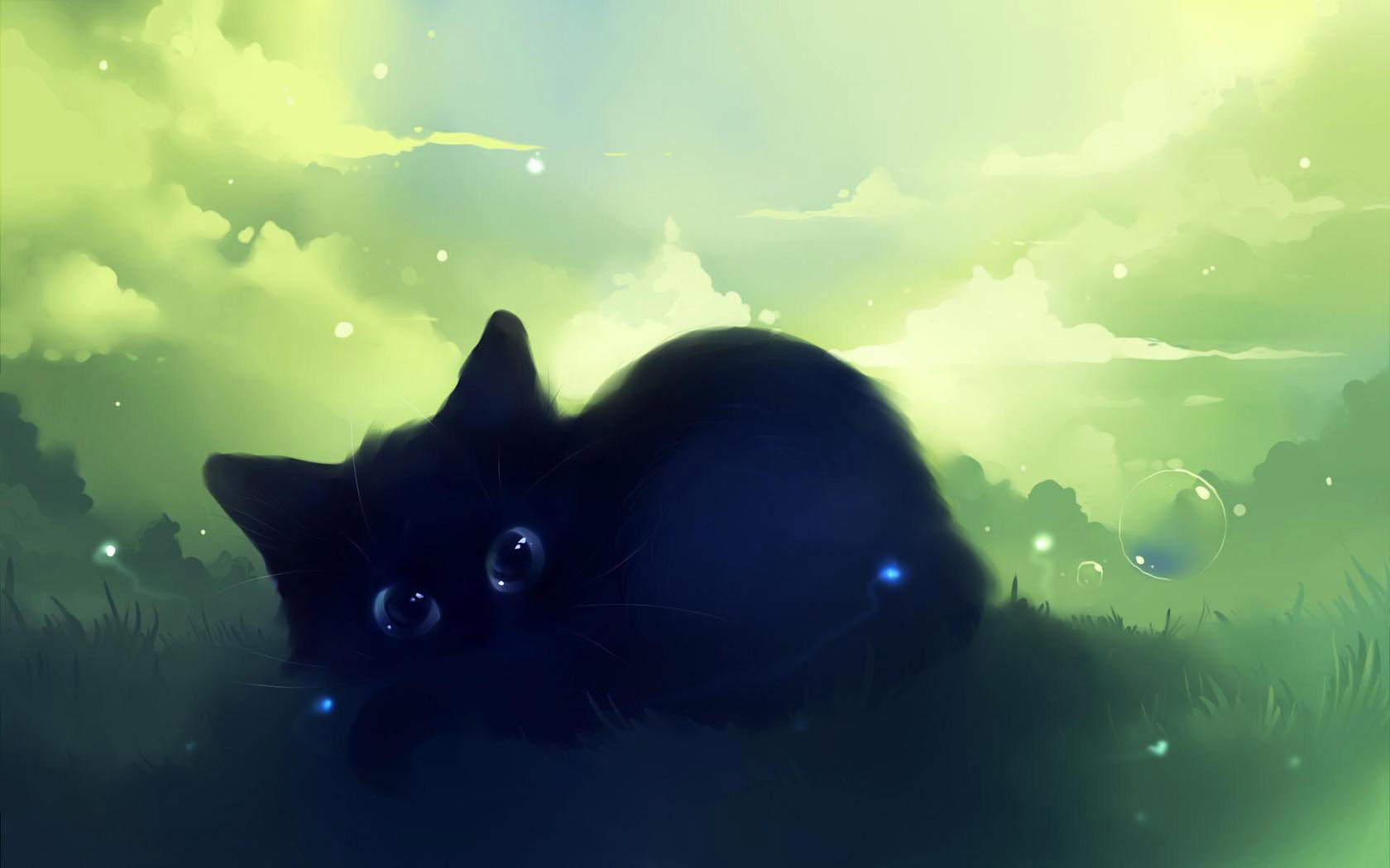 猫咪电脑桌面高清壁纸