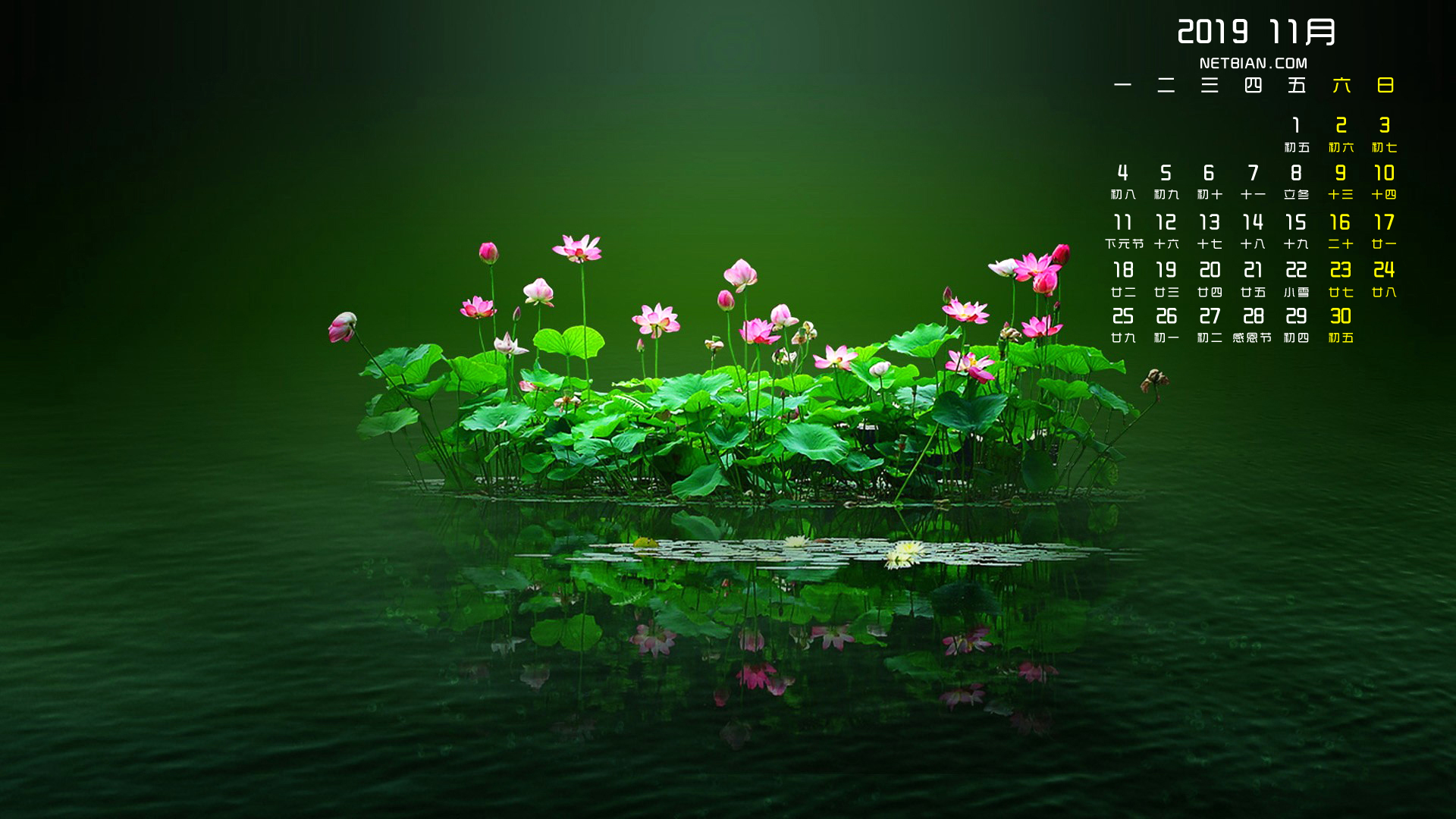荷花2019年11月日历桌面高清壁纸