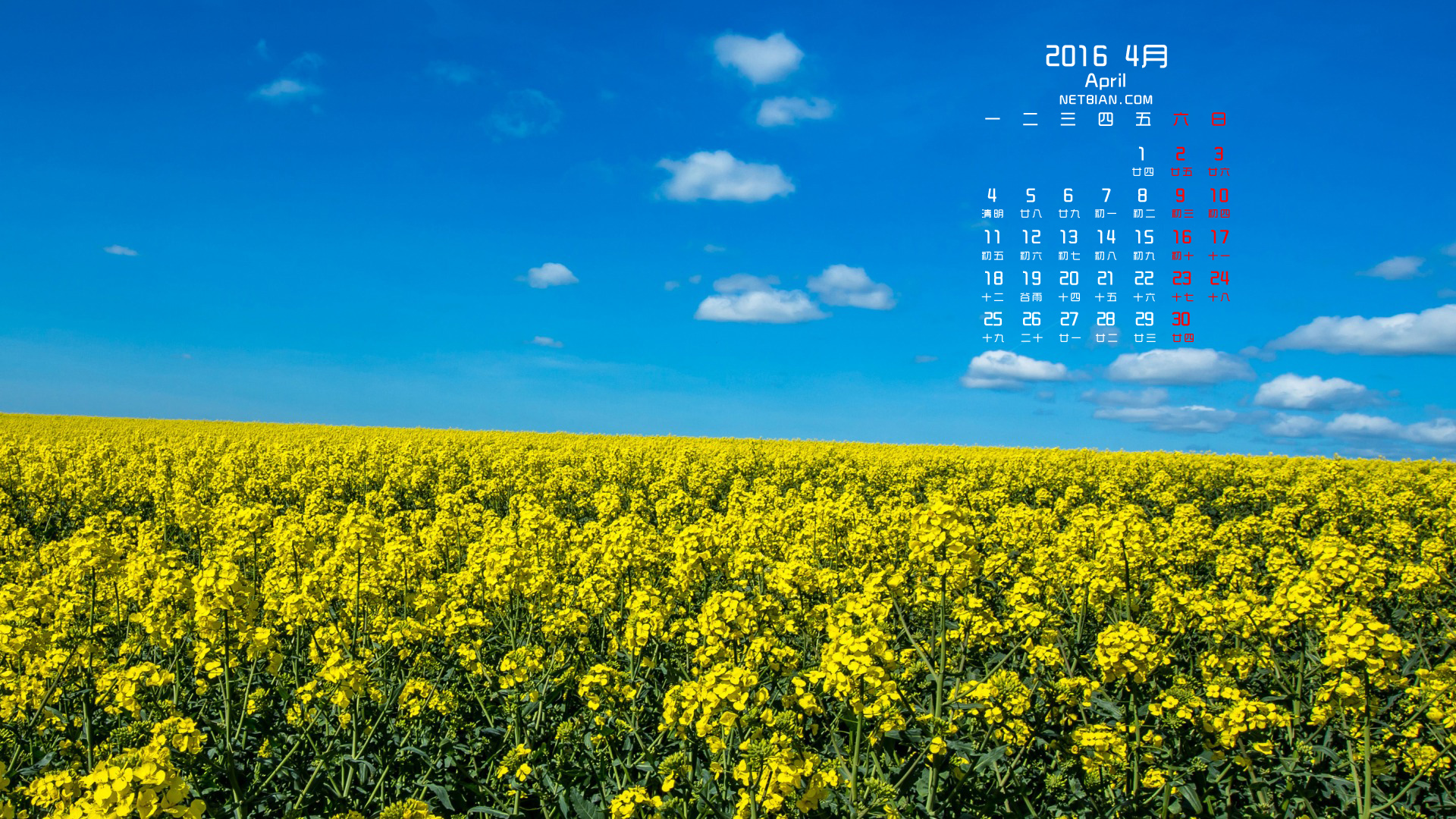 油菜花天空风景2016年4月日历桌面高清壁纸