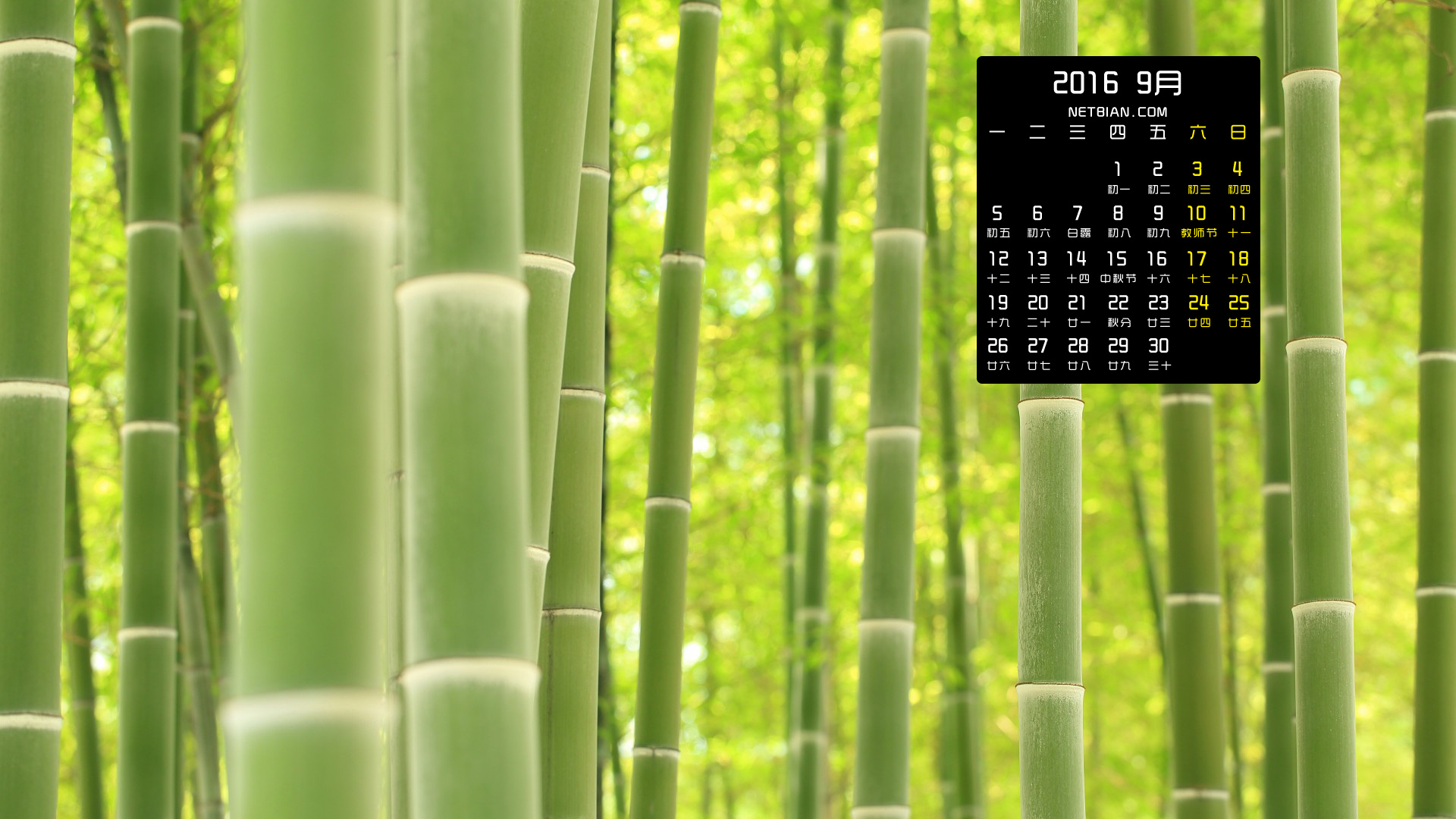 竹子风景2016年9月日历桌面高清壁纸