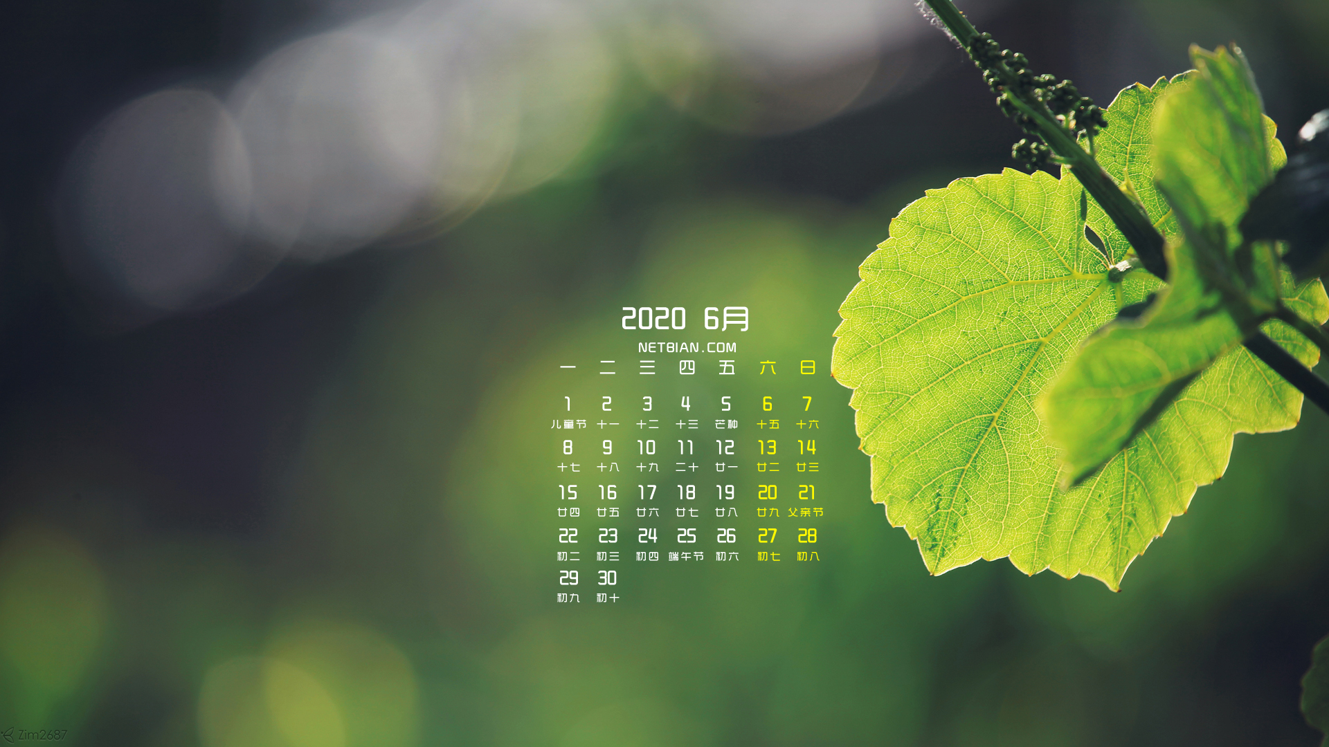 葡萄叶2020年6月日历桌面高清壁纸护眼