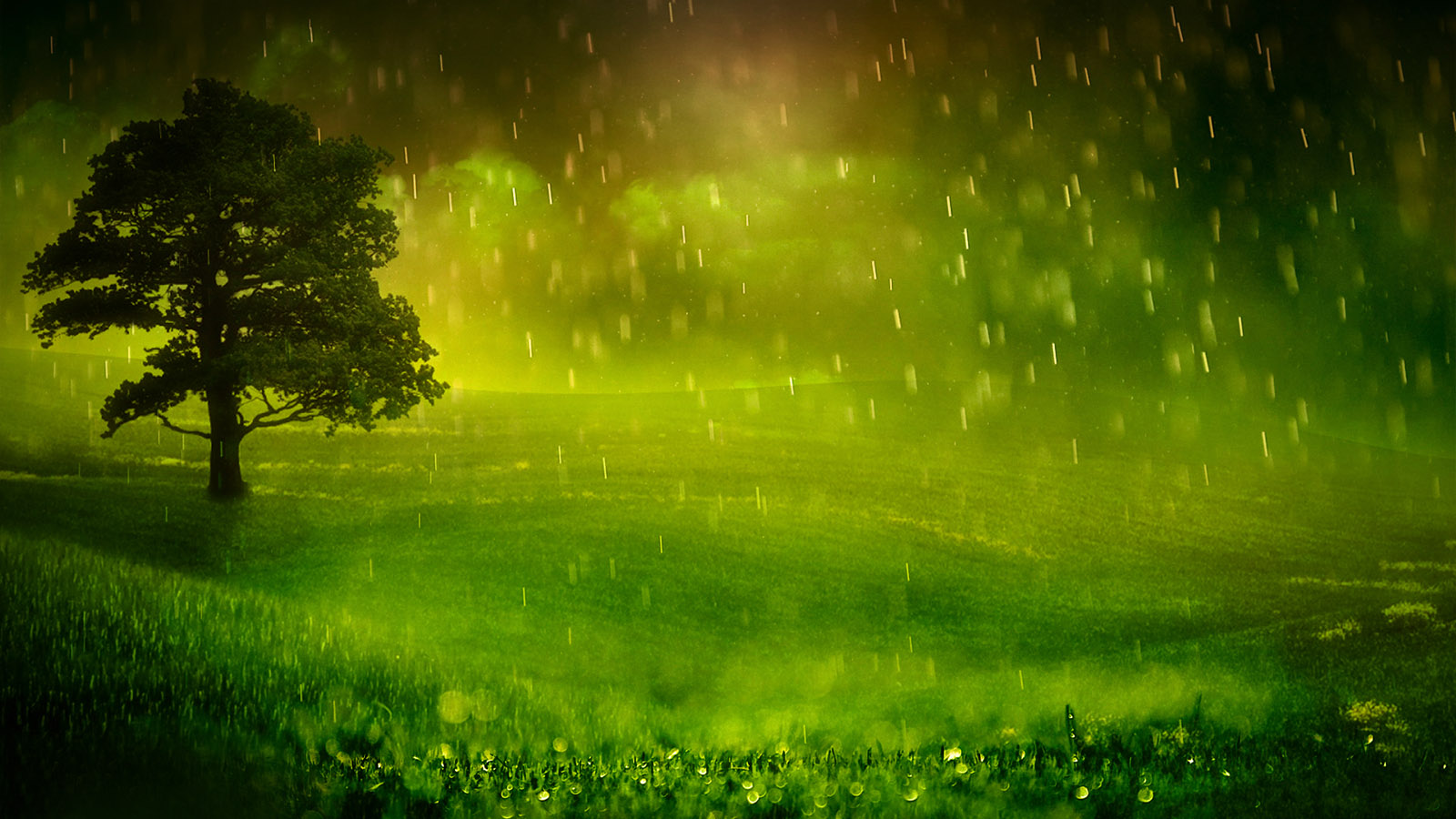 落雨风景桌面高清壁纸