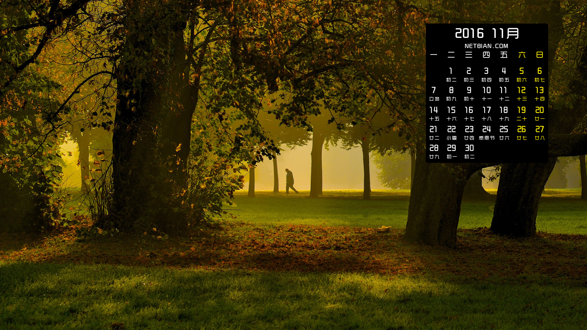 森林秋天的早晨风景2016年11月日历桌面高清壁纸