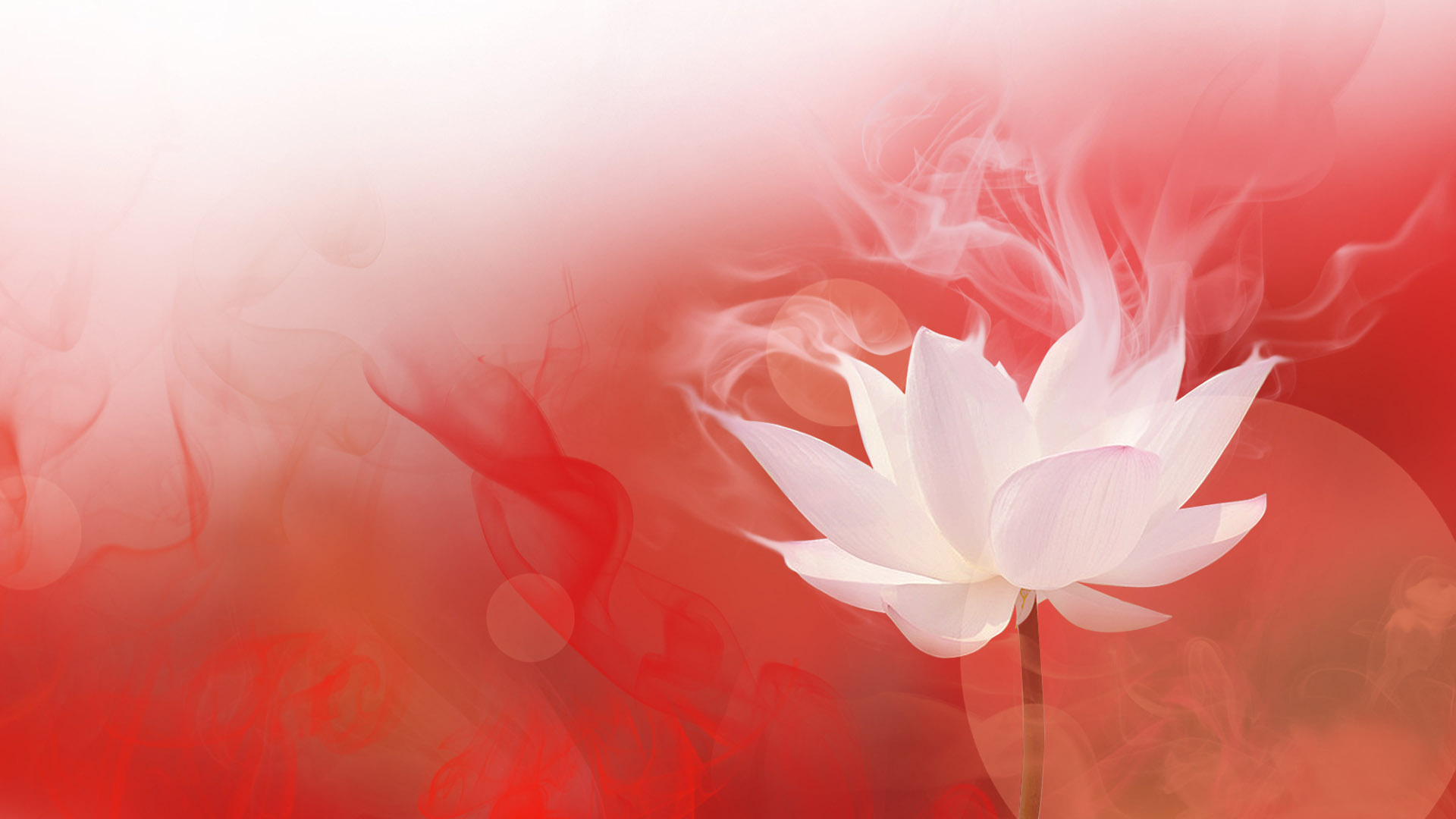 火中莲花桌面高清壁纸