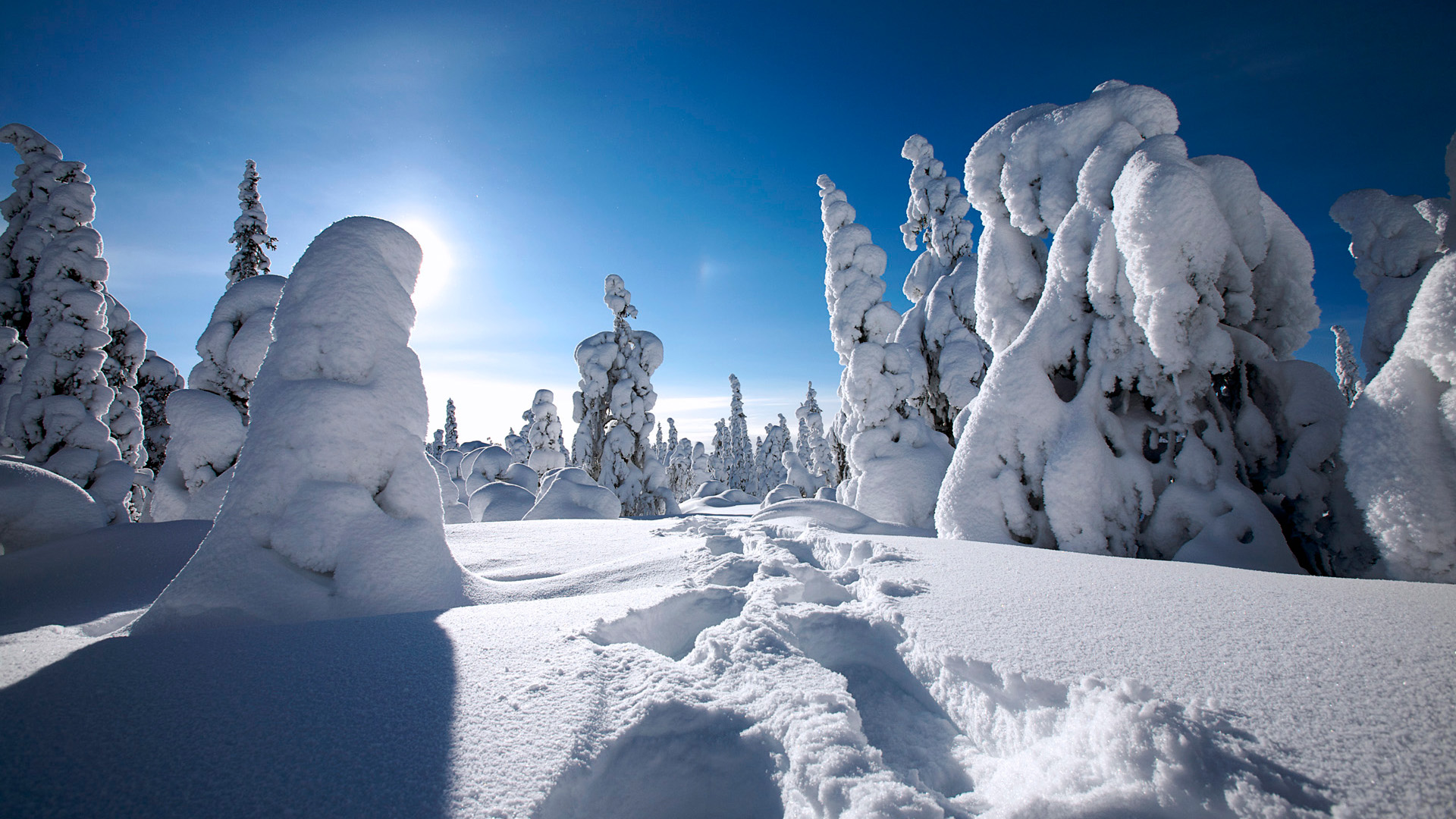 美丽的冬雪风景宽屏桌面高清壁纸 精选