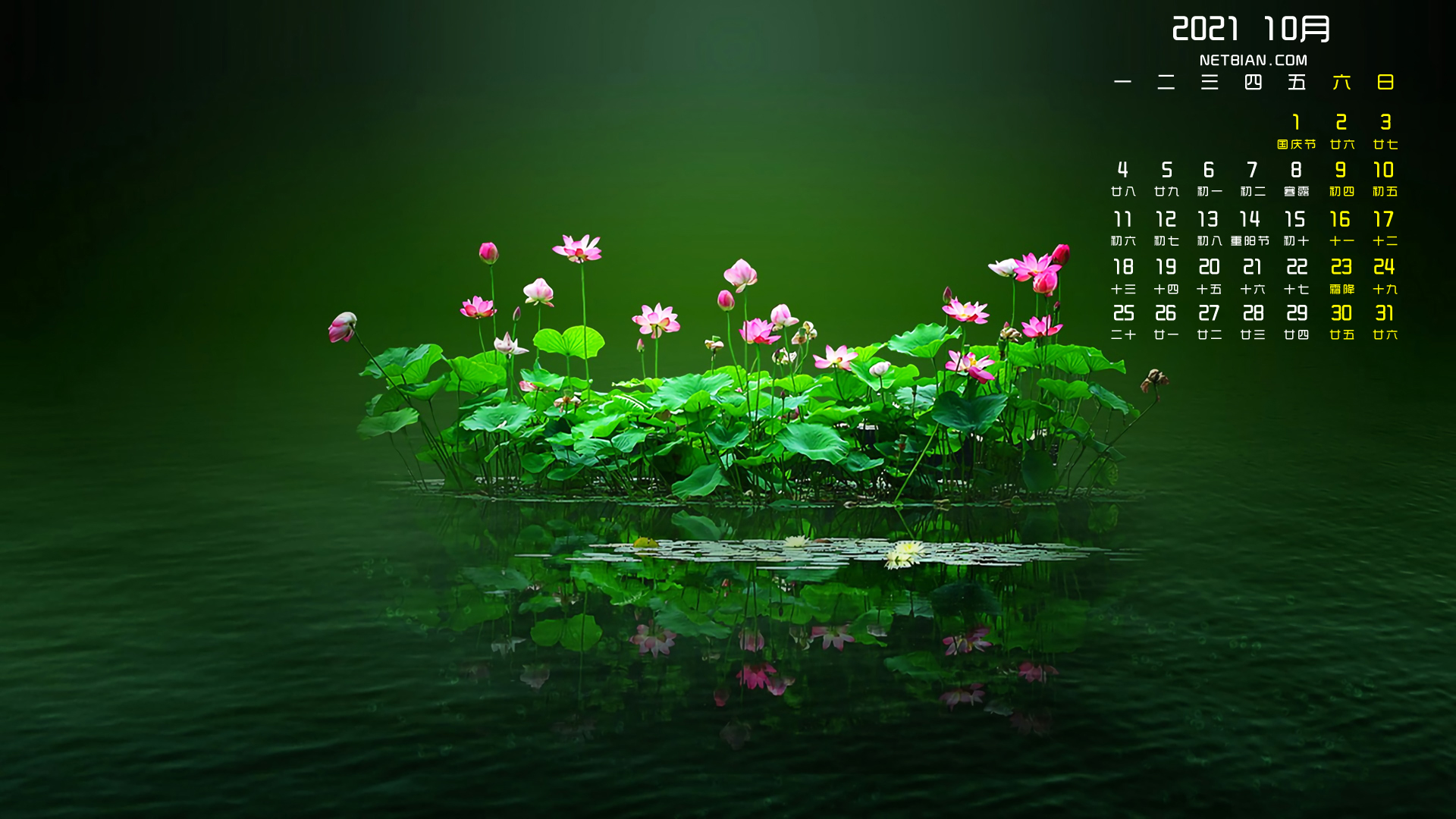 荷花2021年10月日历桌面高清壁纸