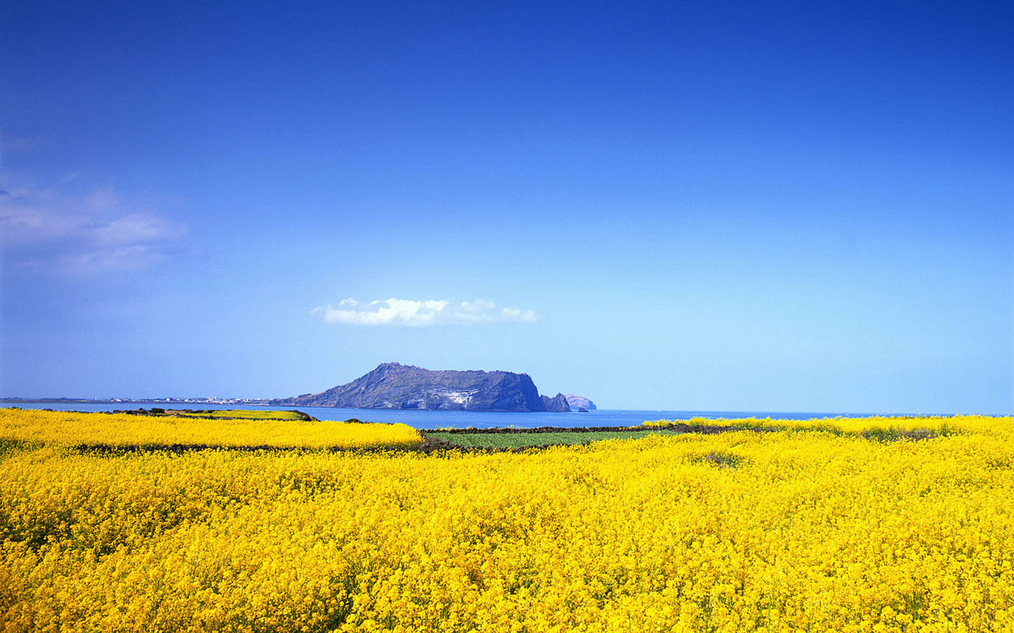 海边 一望无际风景桌面高清壁纸