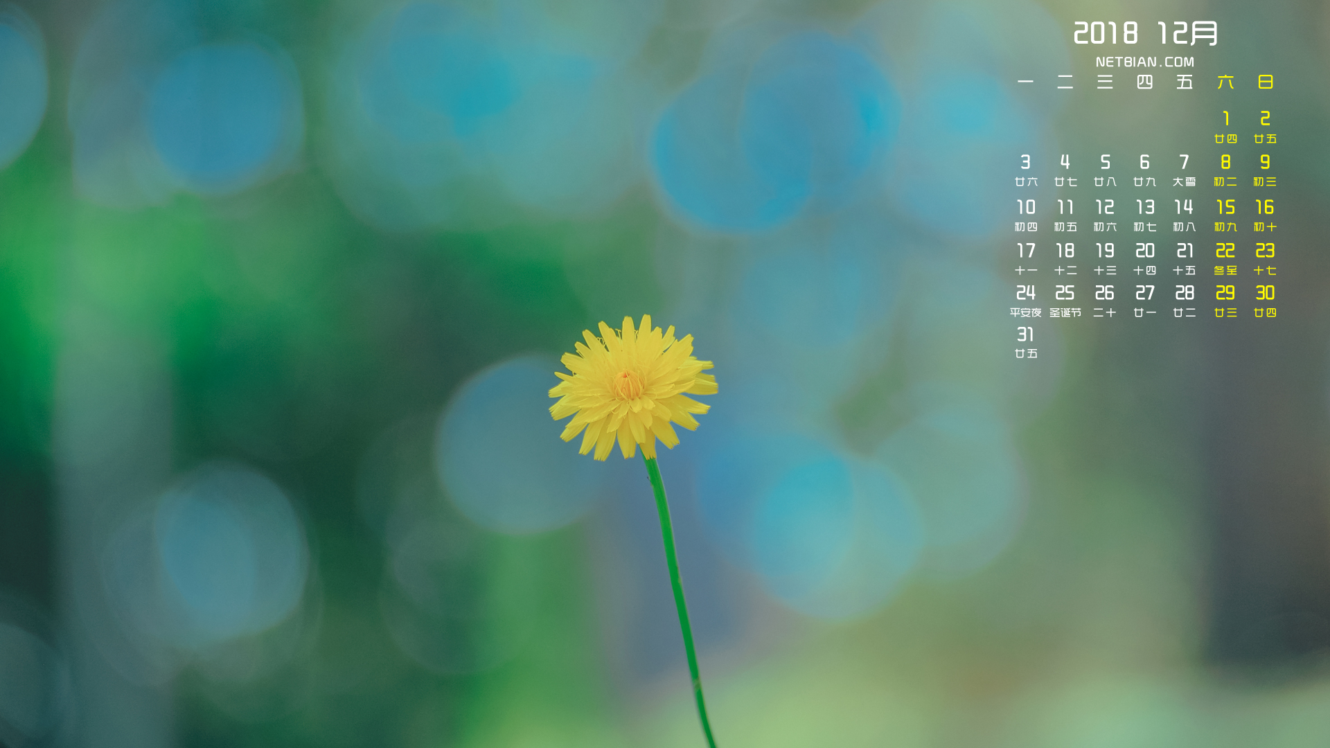 小清新花卉2018年12月日历桌面高清壁纸
