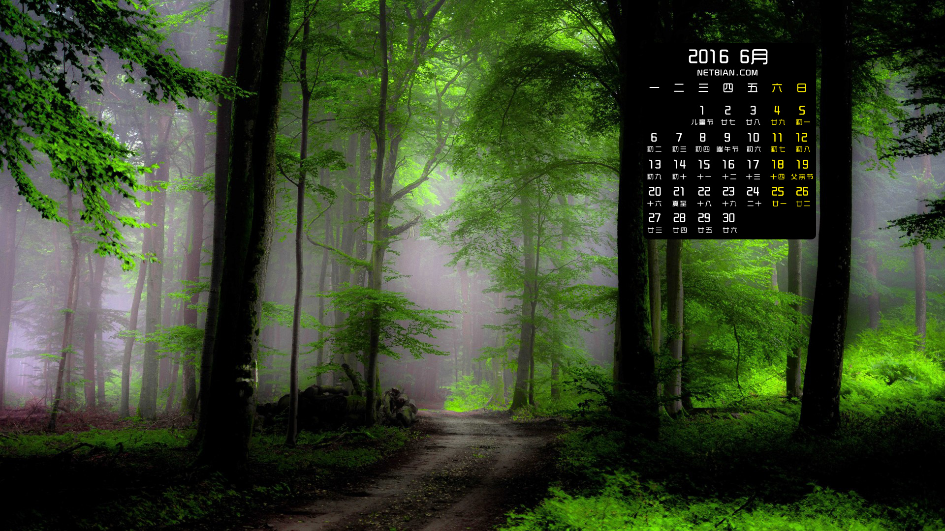 迷雾森林风景2016年6月日历桌面高清壁纸
