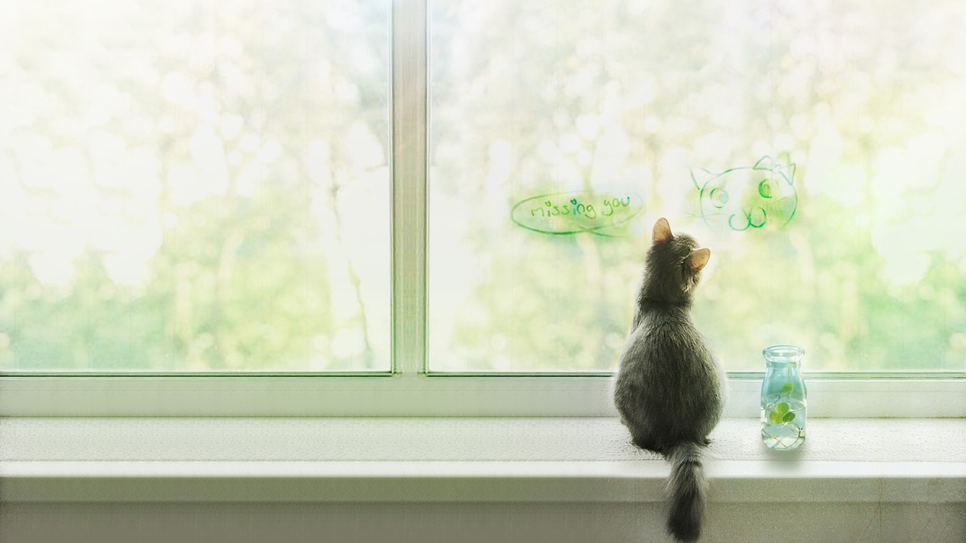 独乐小猫桌面高清壁纸