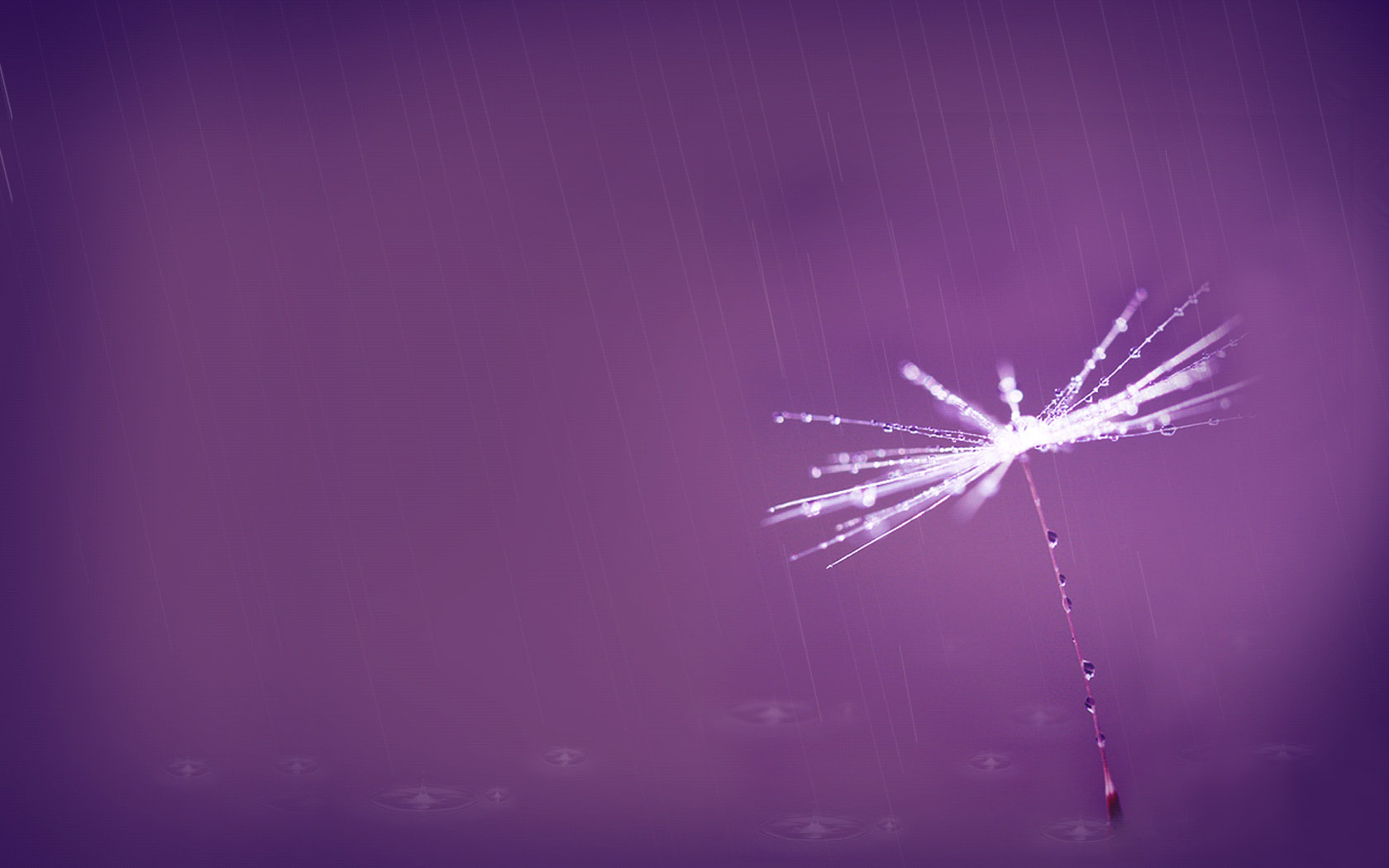 细雨桌面高清壁纸