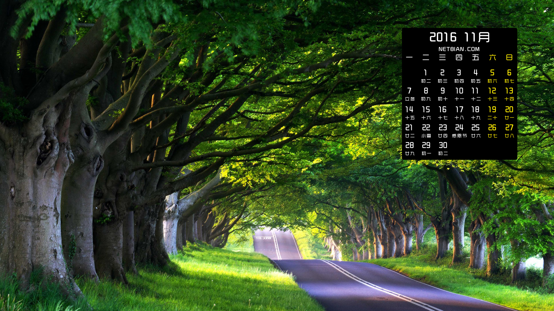 自然风景森林道路树木小巷2016年11月日历桌面高清壁纸