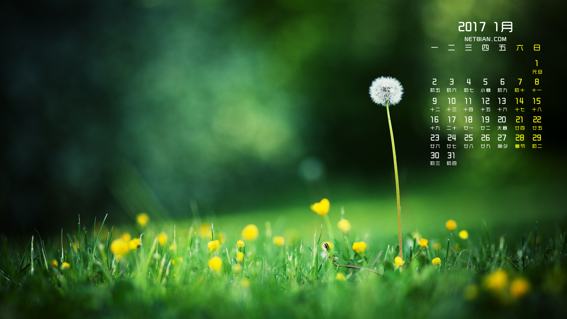 蒲公英2017年1月风景日历桌面高清壁纸
