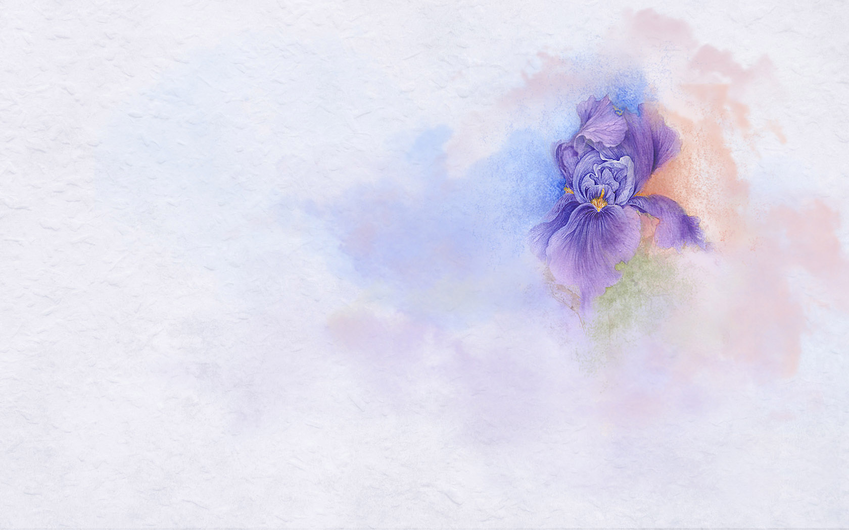 紫色恋花电脑桌面背景