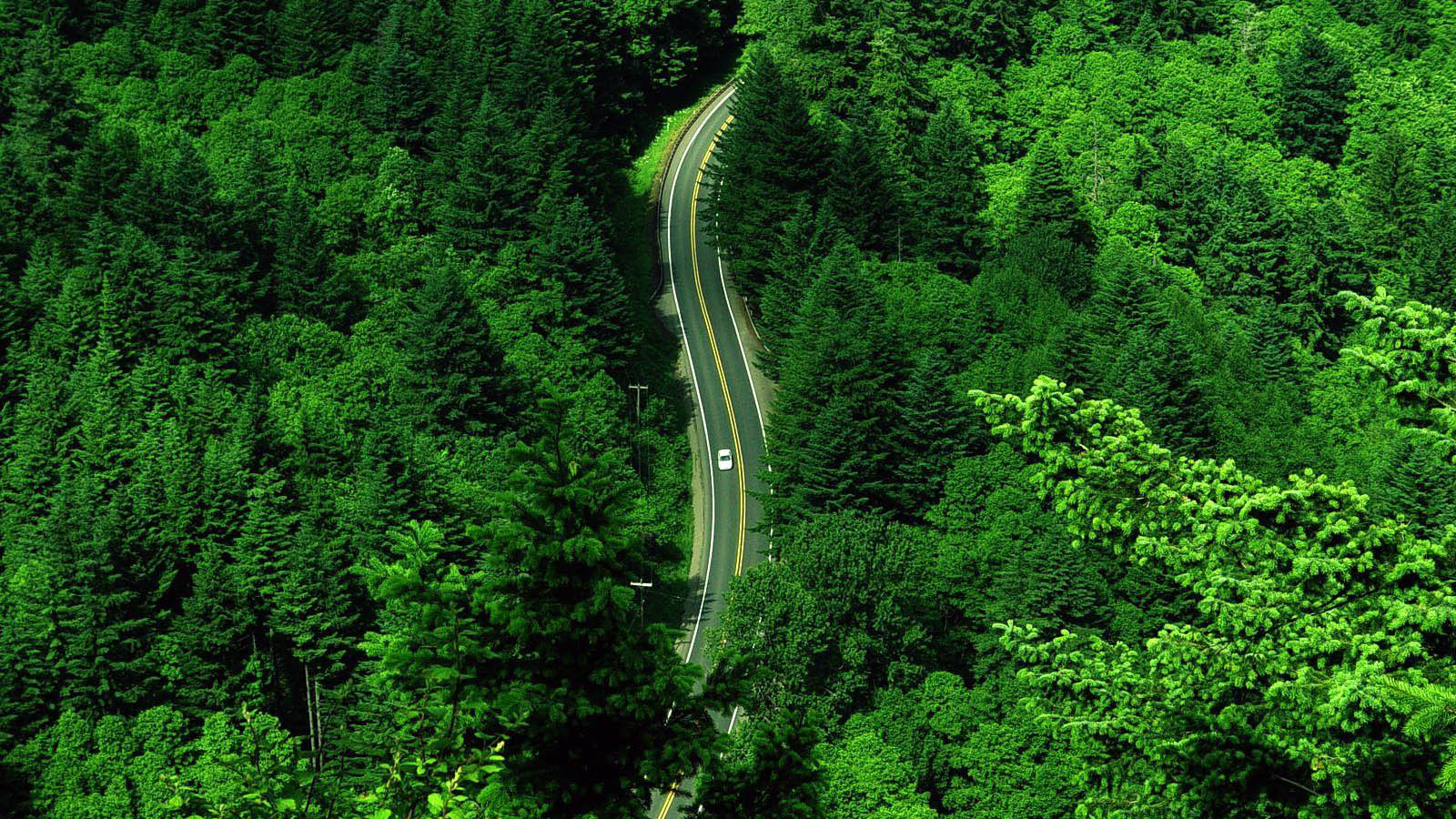 航拍公路风景桌面高清壁纸