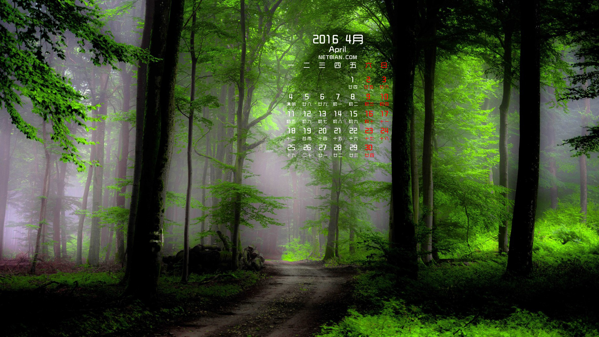 森林树木路自然风景2016年4月日历桌面高清壁纸