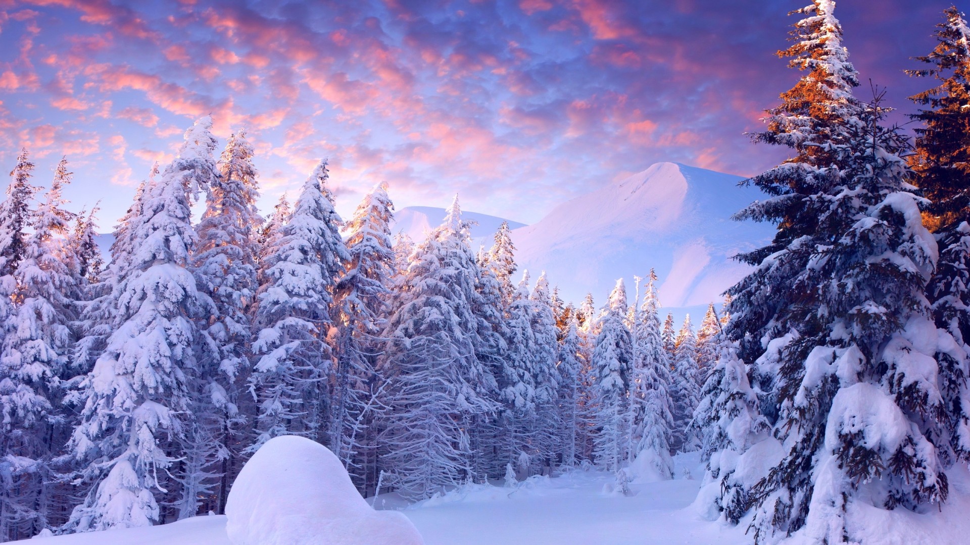 冬天,雪,树,山,天空,云,自然风景桌面高清壁纸