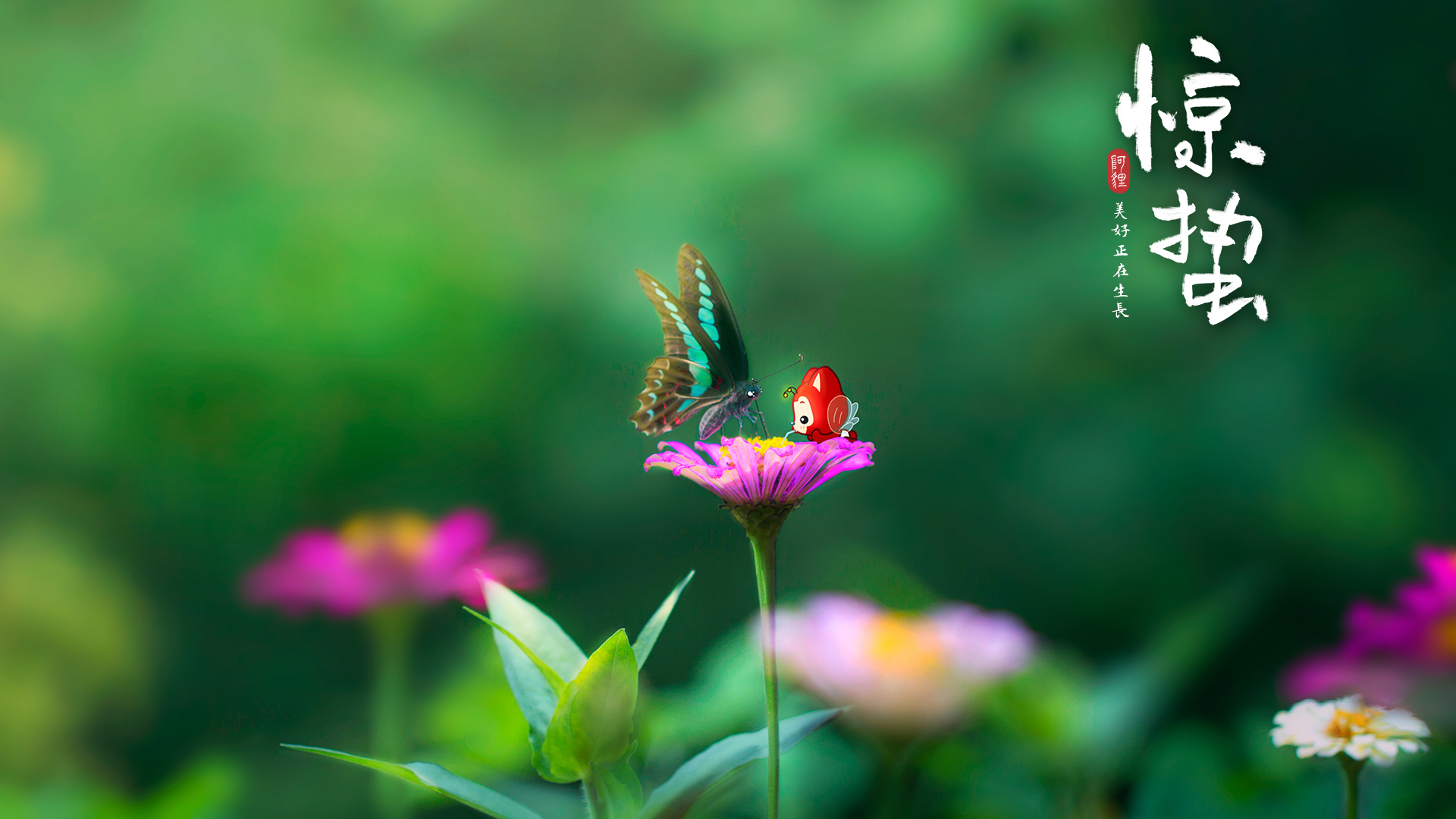 阿狸,惊蛰,12节气,蝴蝶,花朵,护眼,高清壁纸