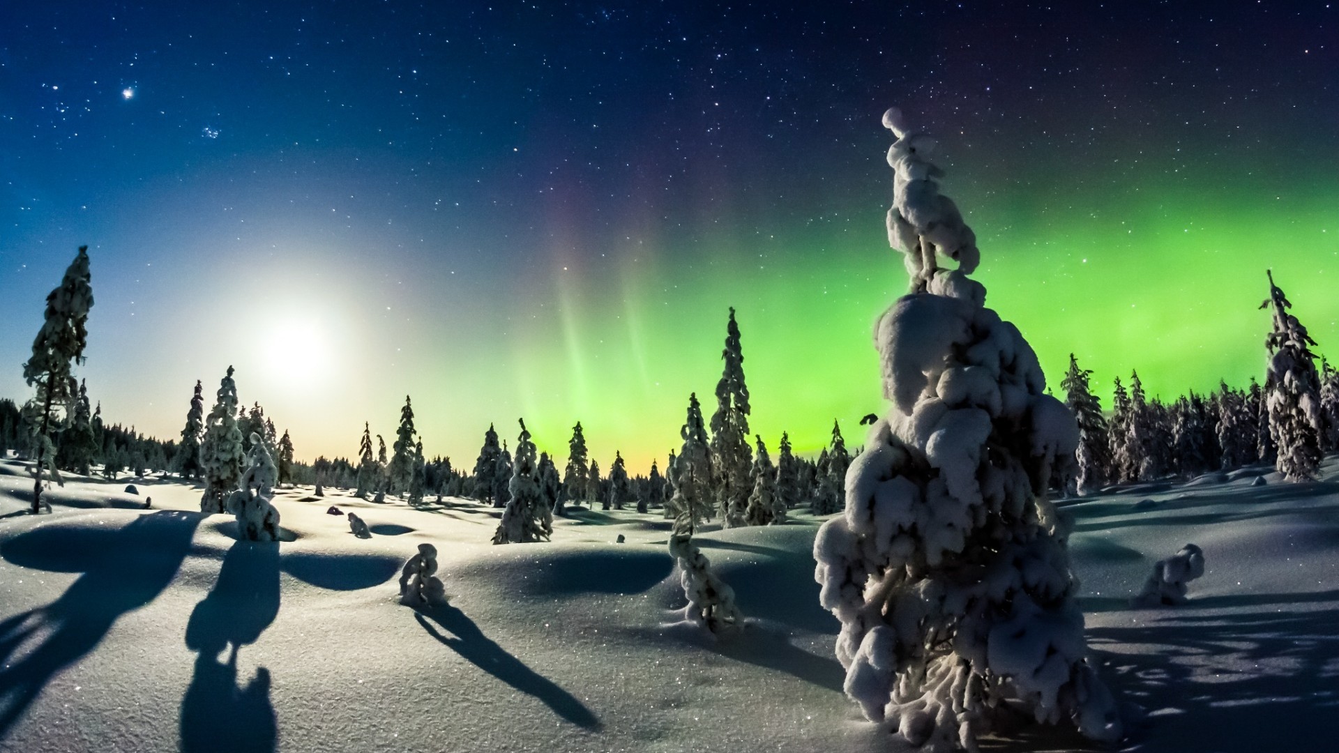 冬天,雪,森林,树,天空,星星,主题,自然图片,风景桌面高清壁纸