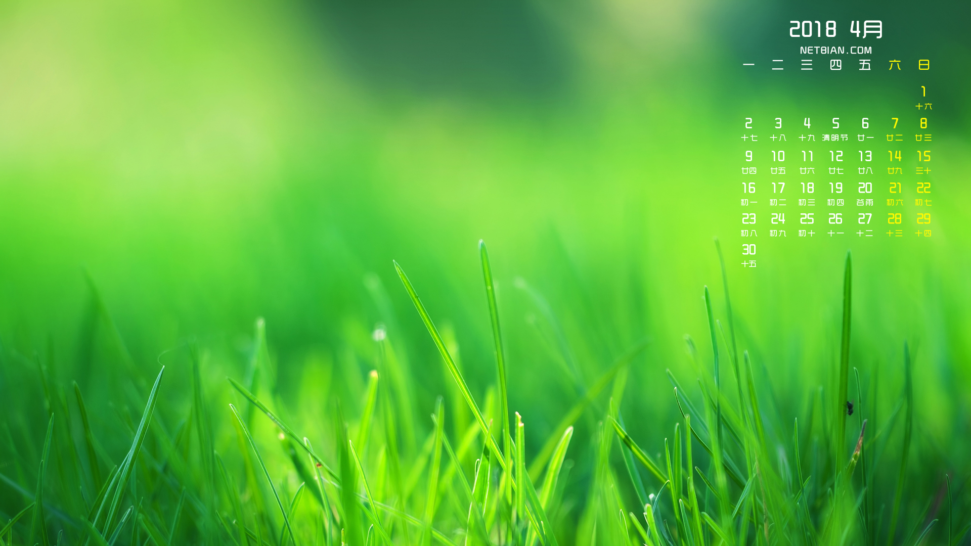 绿色小草2018年4月日历桌面高清壁纸