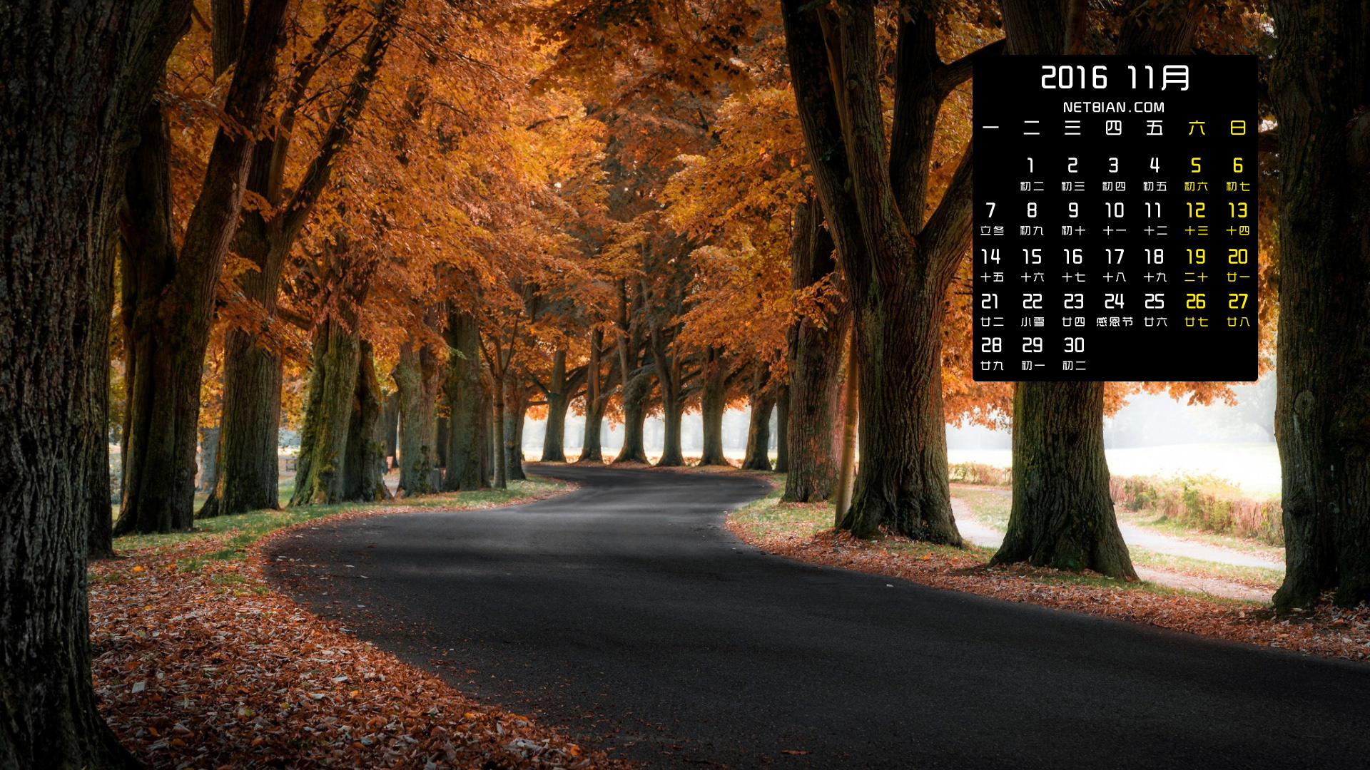 秋天的树木公路风景2016年11月日历桌面高清壁纸