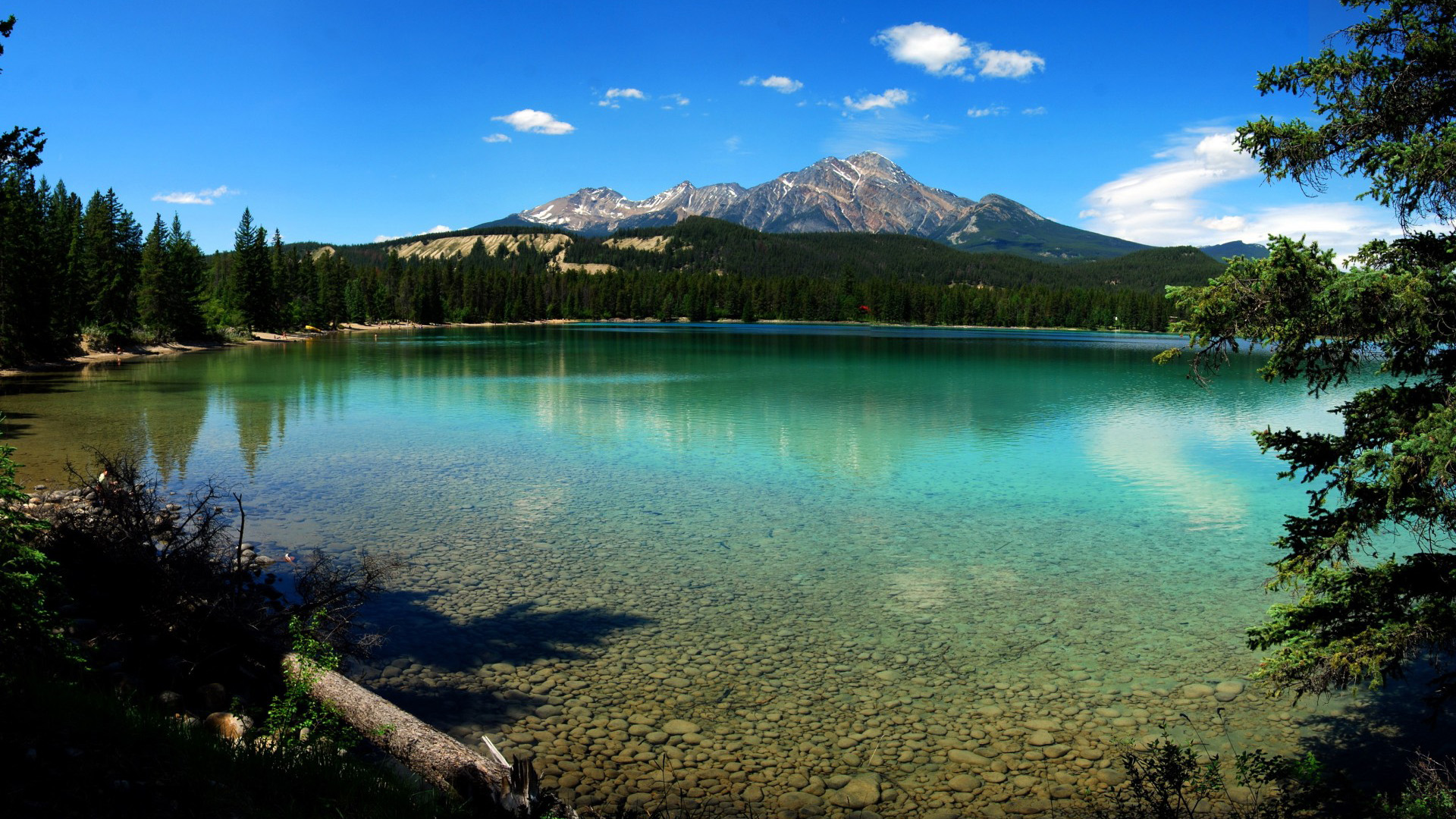 国家公园加拿大,湖泊,水,山,树风景桌面高清壁纸