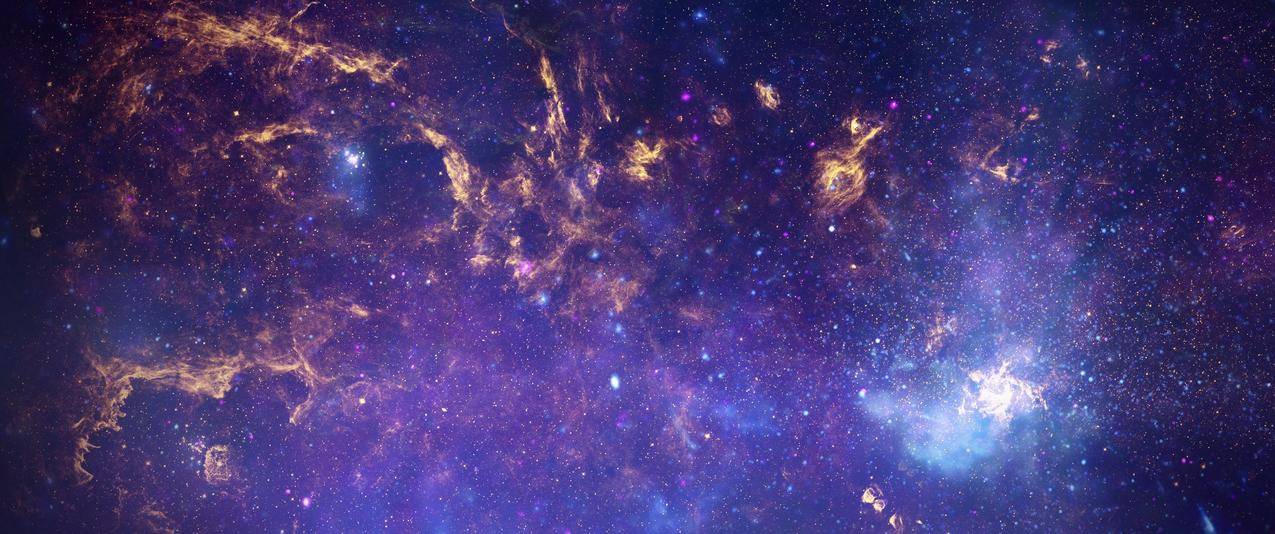 星星带鱼屏高清壁纸