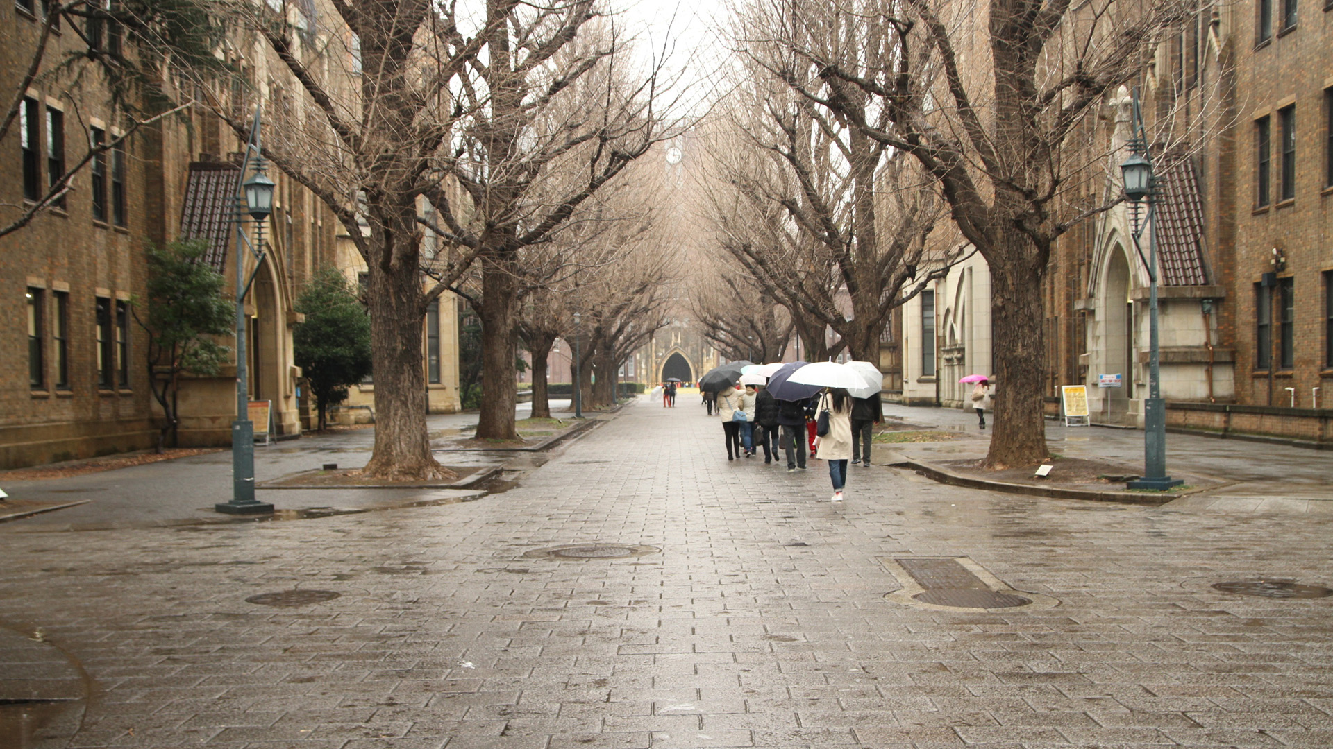 东京大学校园风景桌面高清壁纸
