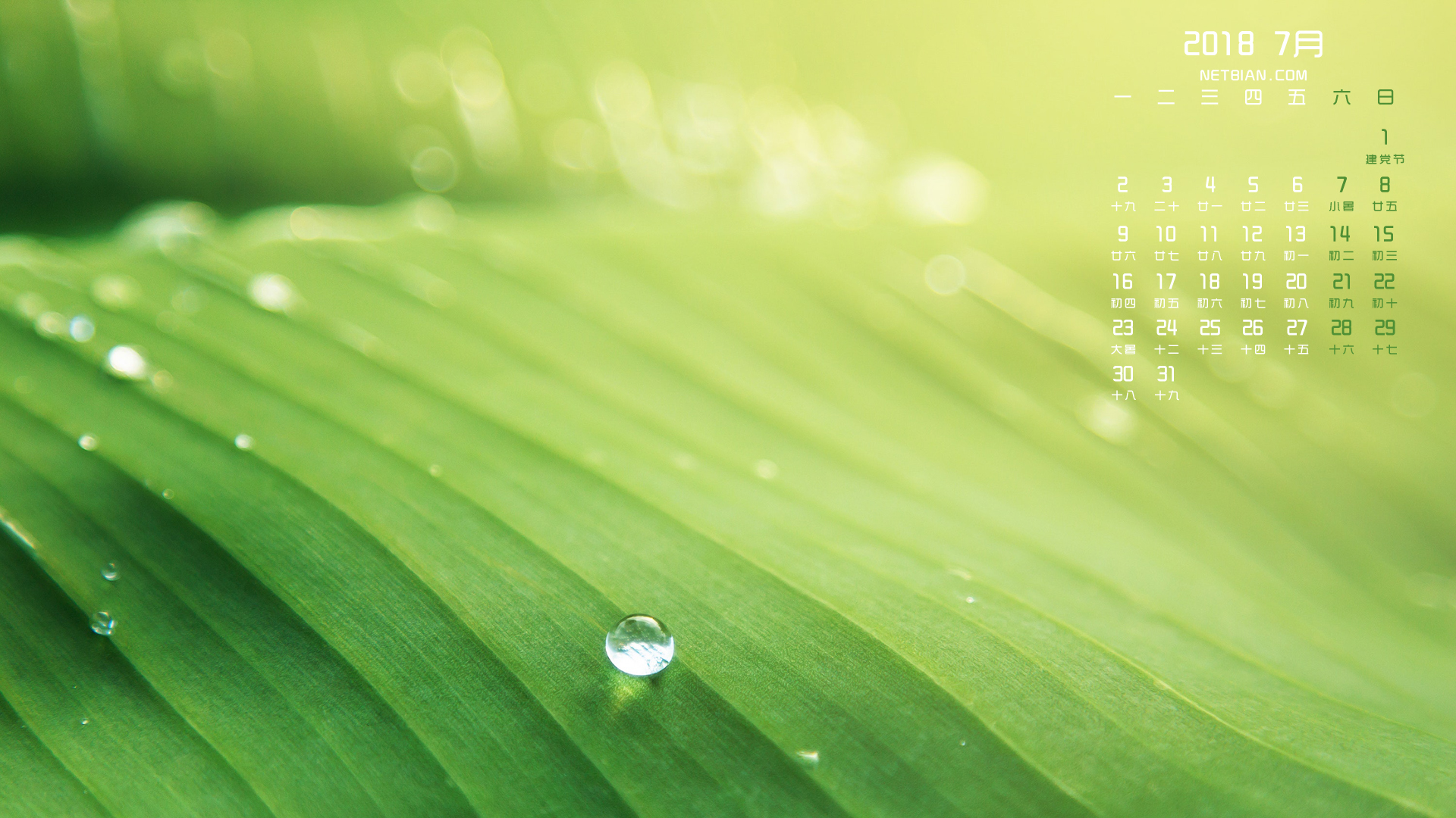 绿叶水珠2018年7月日历桌面高清壁纸护眼