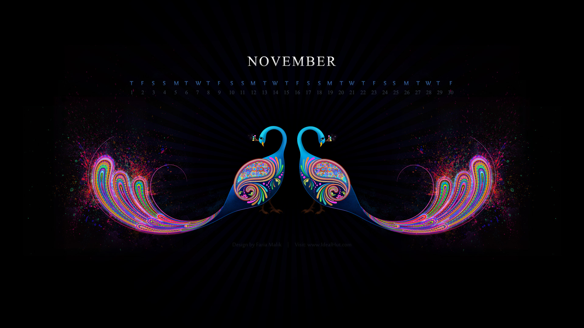 2012年11月美丽的孔雀 月历高清壁纸