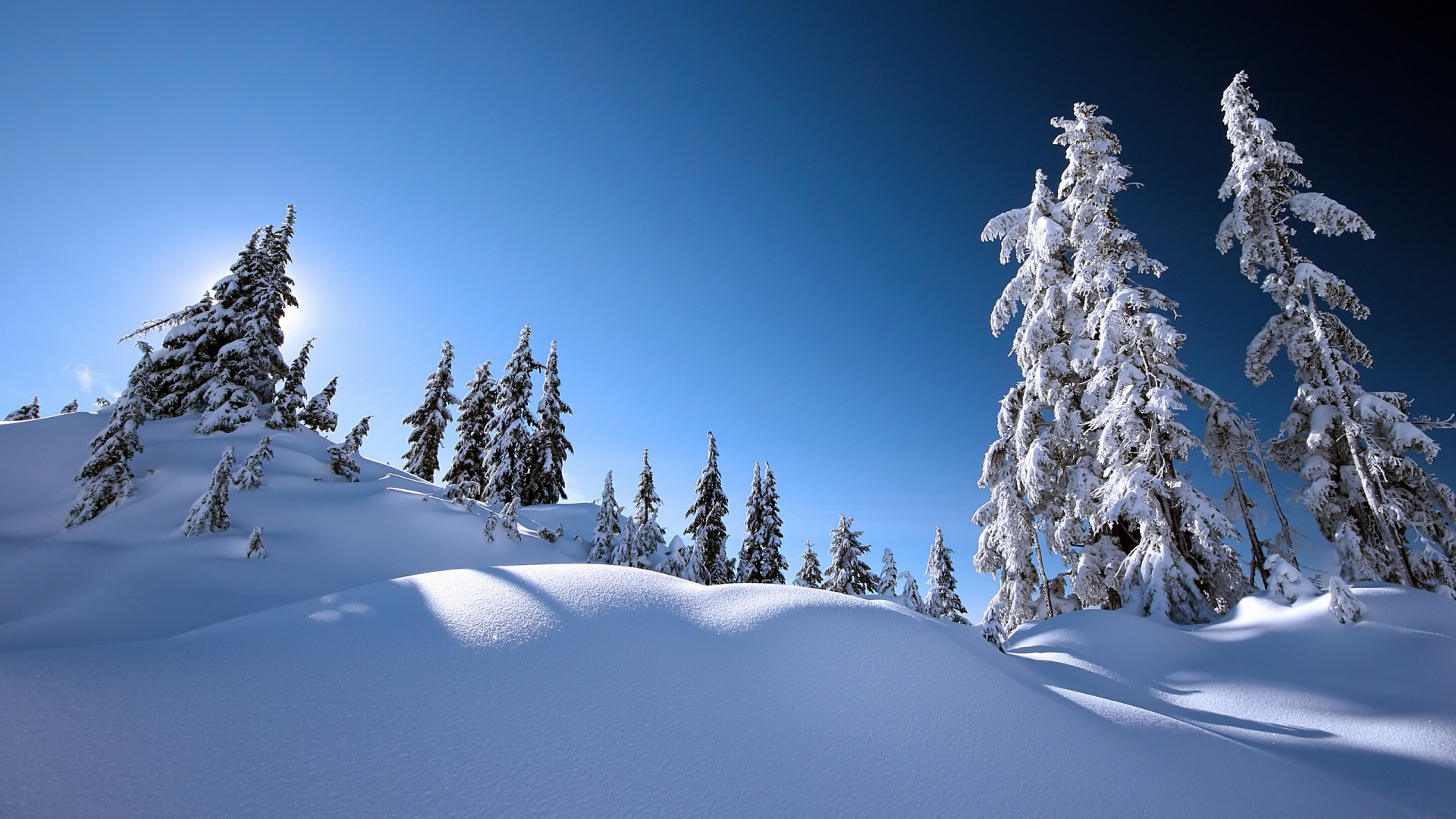 美丽的冬季风光雪景高清壁纸