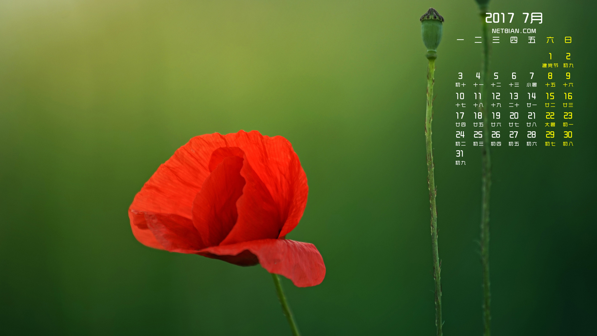 罂粟花2017年7月日历桌面高清壁纸