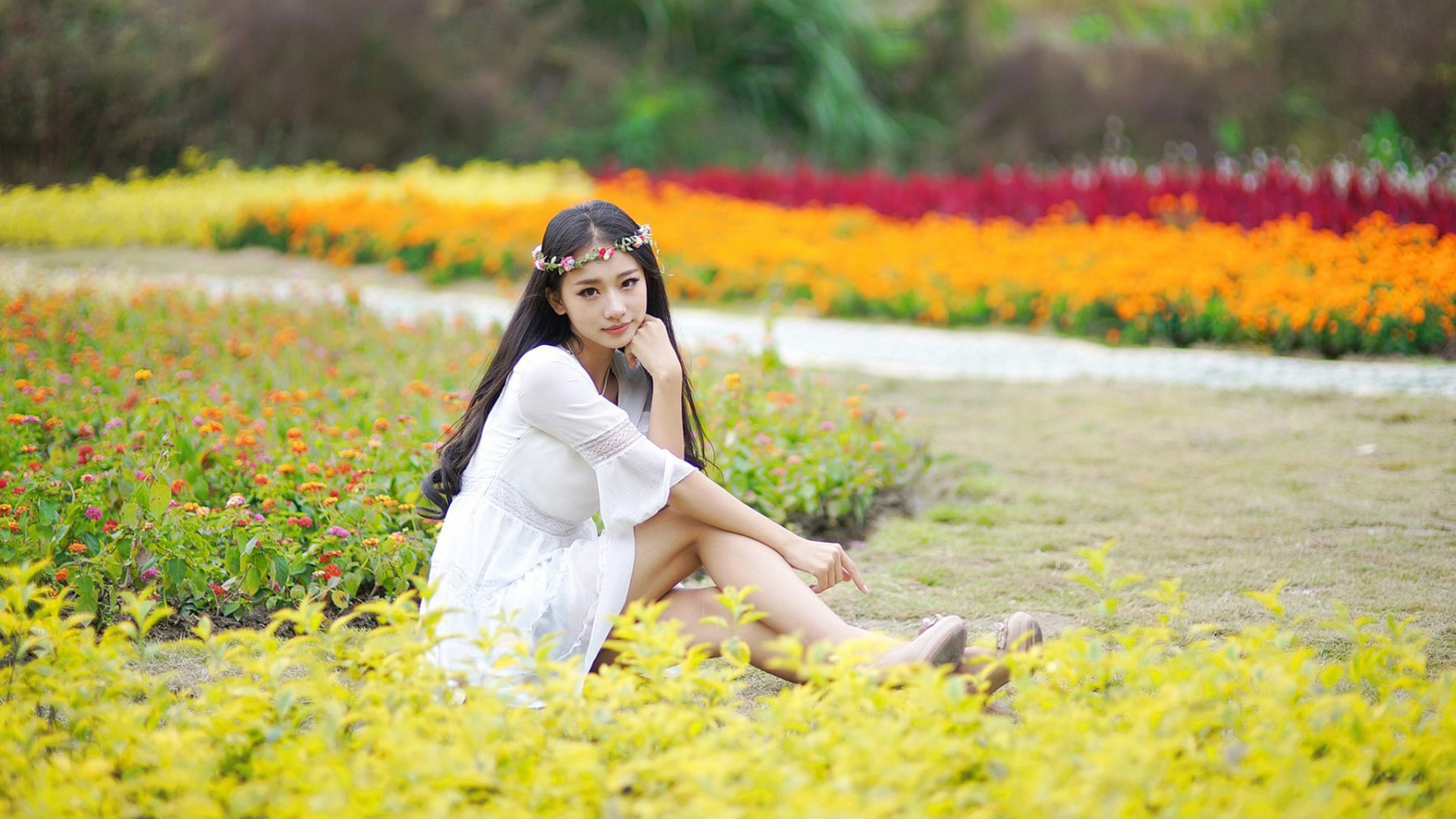 清新花姑娘,女孩,小清新,花海,养眼美女桌面高清壁纸
