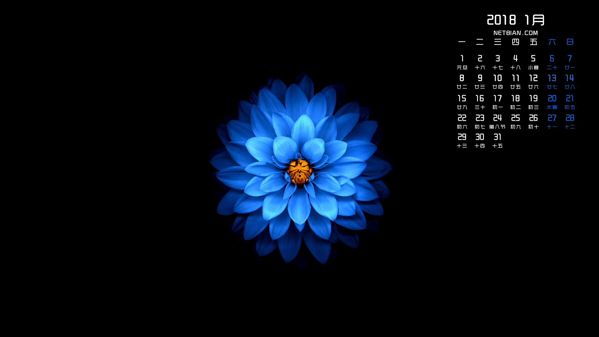 蓝色花瓣2018年1月日历桌面高清壁纸