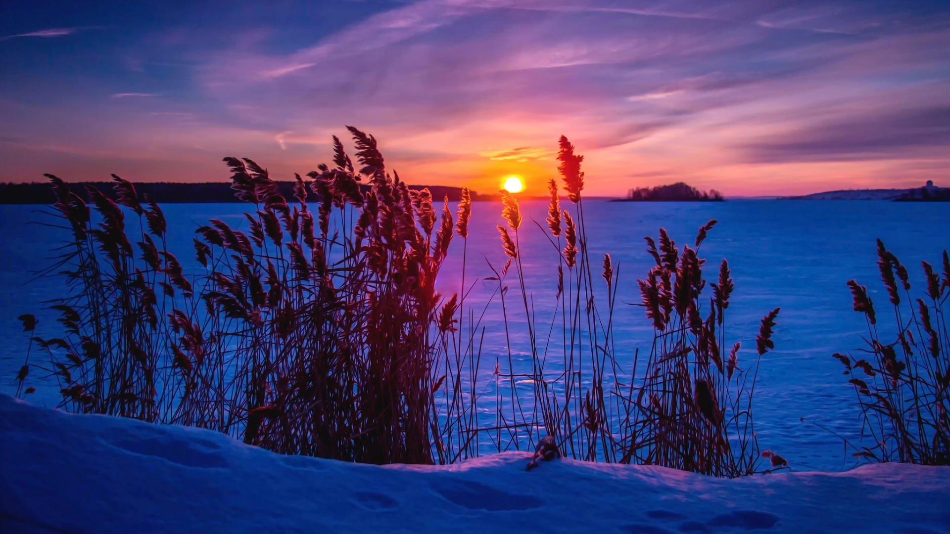 冷若冰霜的夕阳,冬天,雪,风景桌面高清壁纸