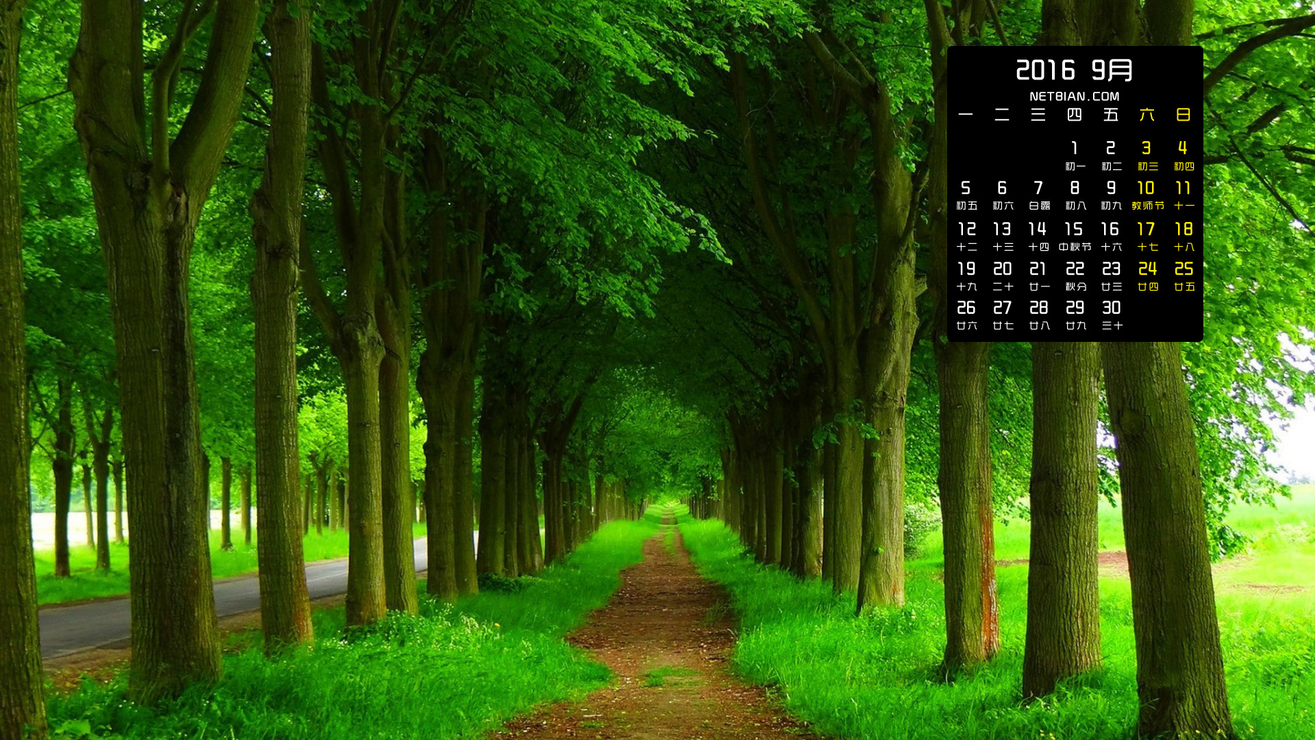 绿荫小路2016年9月日历护眼风景桌面高清壁纸