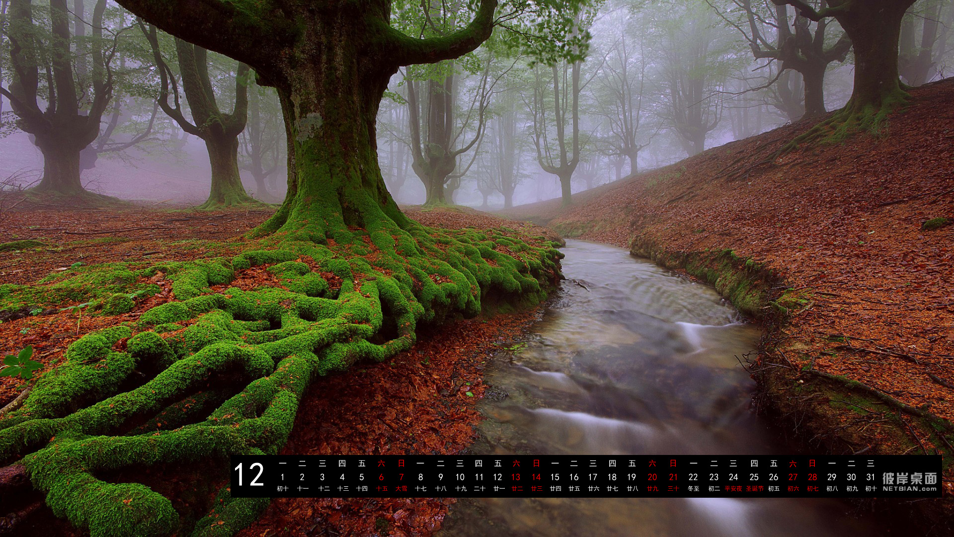 彼岸2014年12月日历风景桌面高清壁纸 大自然,森林,树木,河流