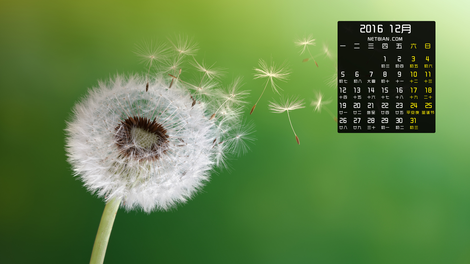 飞舞的蒲公英2016年12月日历桌面高清壁纸