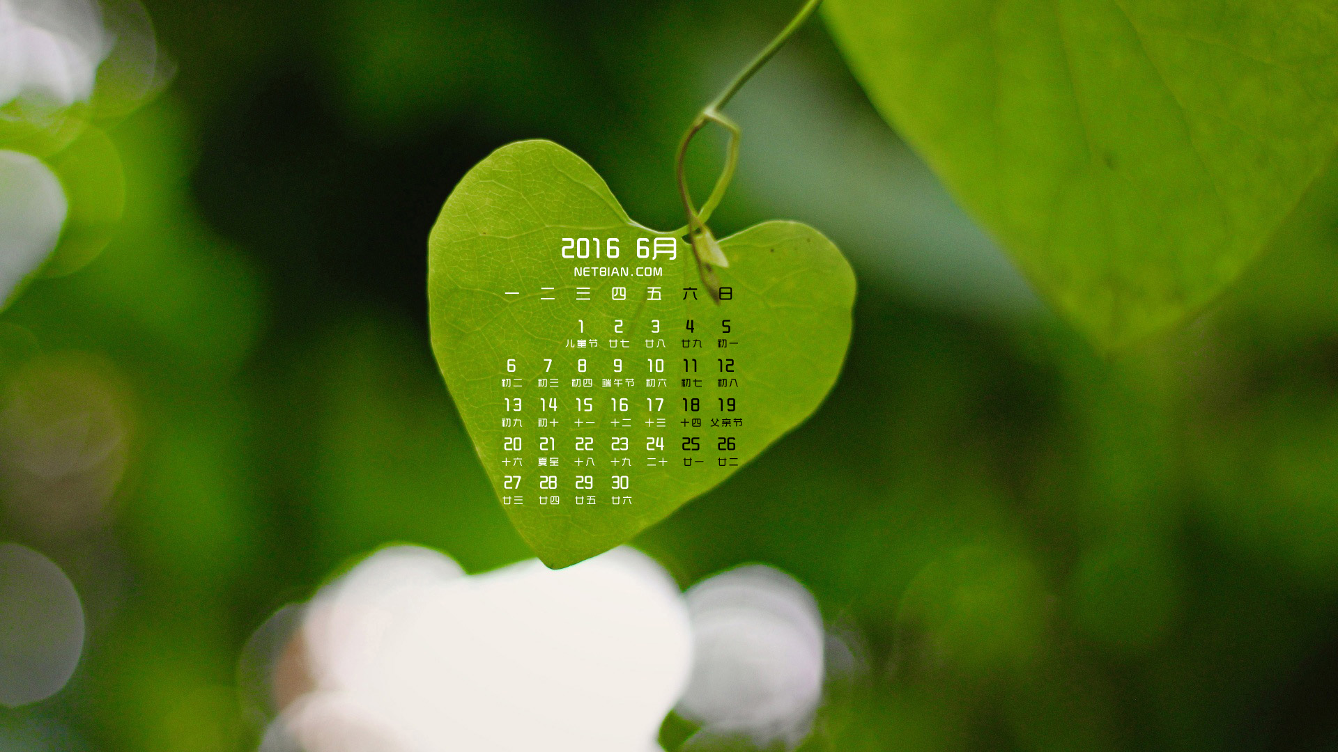 护眼心形绿叶2016年6月日历桌面高清壁纸