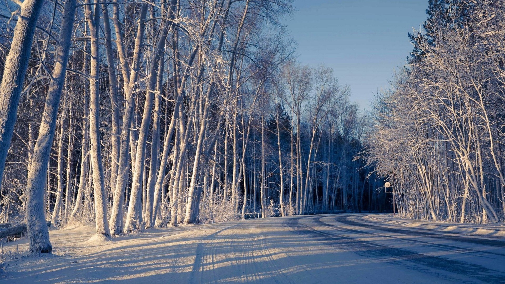 雪,冬天,树木,道路,美丽风景桌面高清壁纸