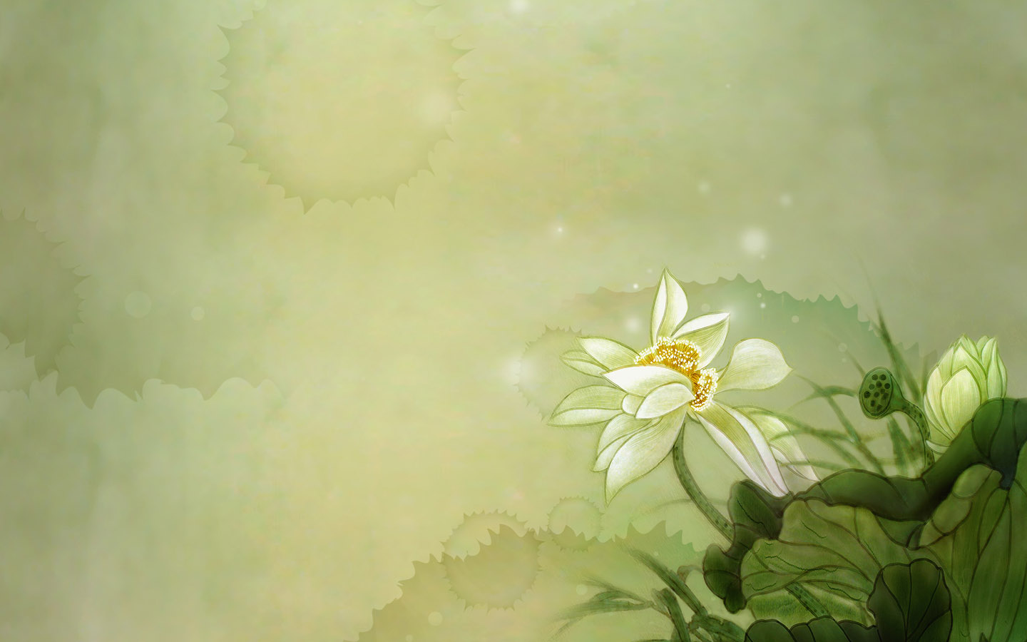手绘荷花精美桌面高清壁纸