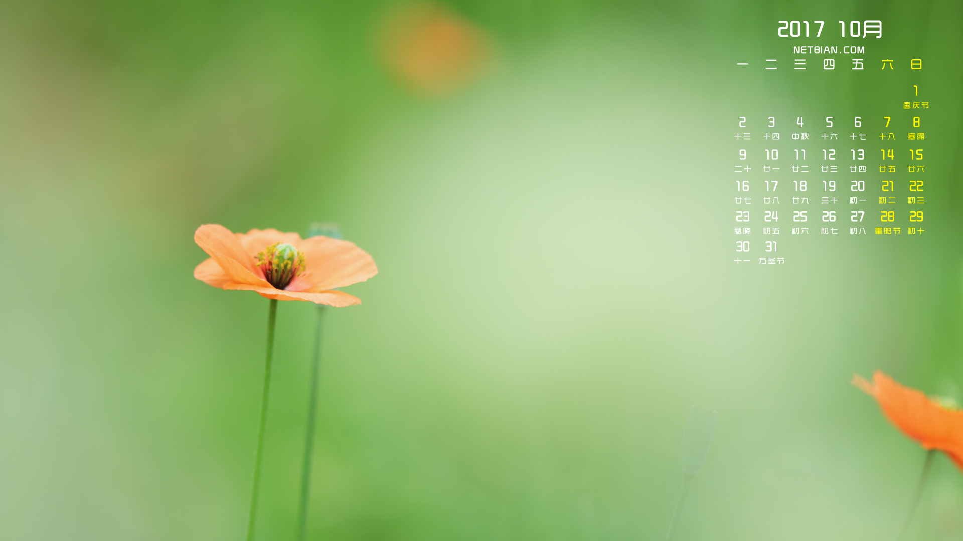 护眼罂粟花2017年10月日历桌面高清壁纸