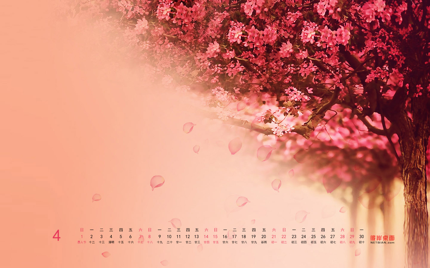 樱花2012年4月日历高清壁纸